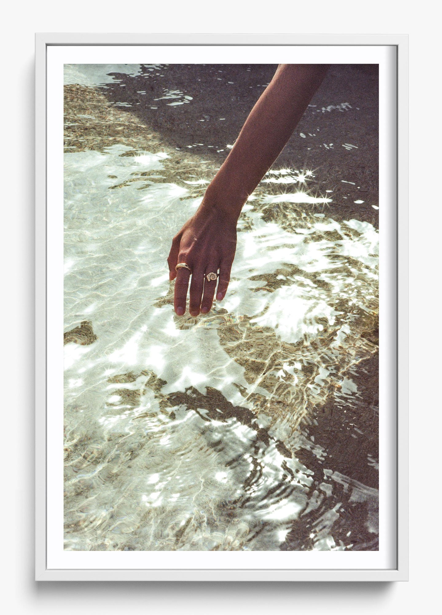 Catching Sea Stars
