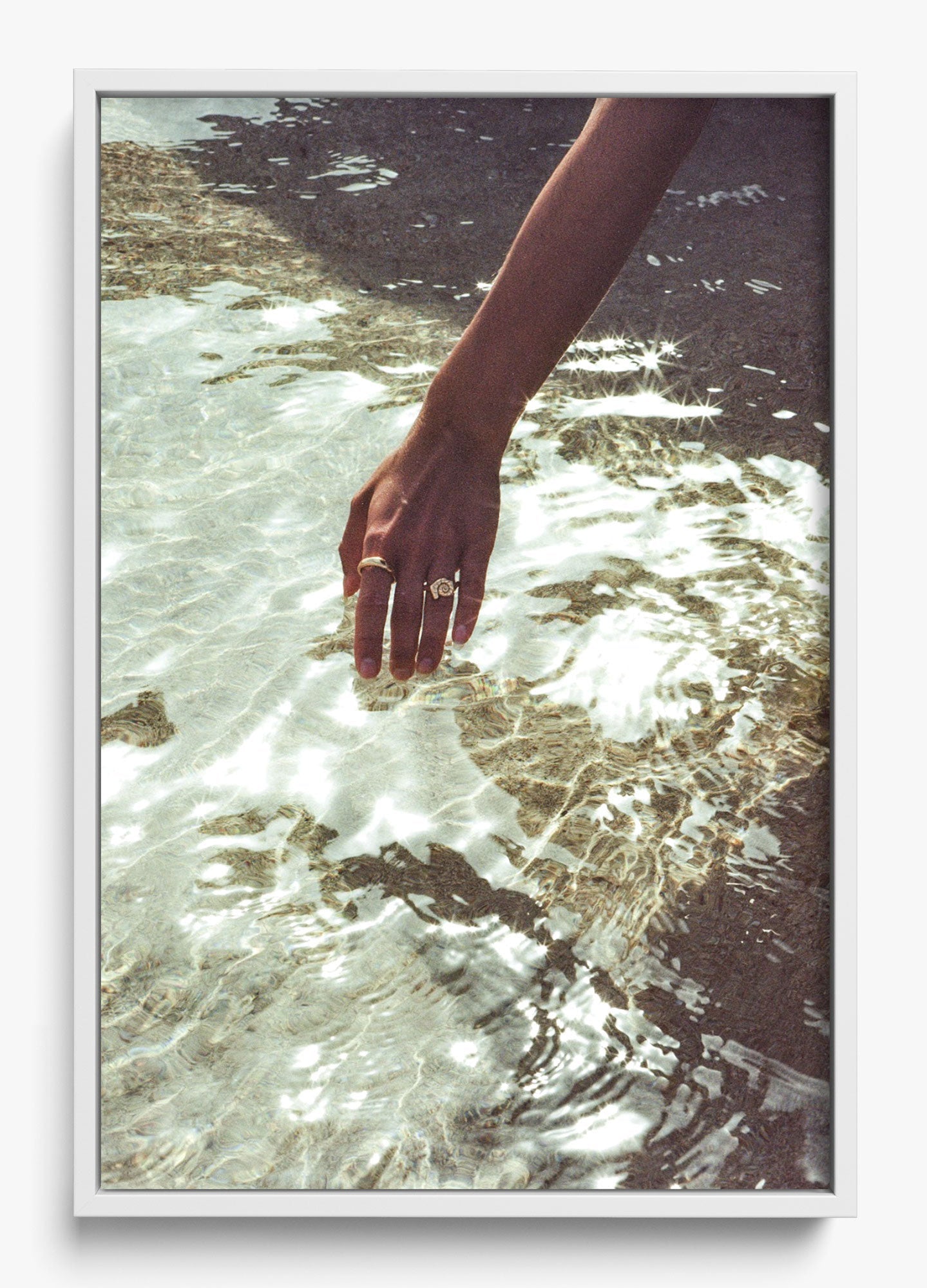 Catching Sea Stars