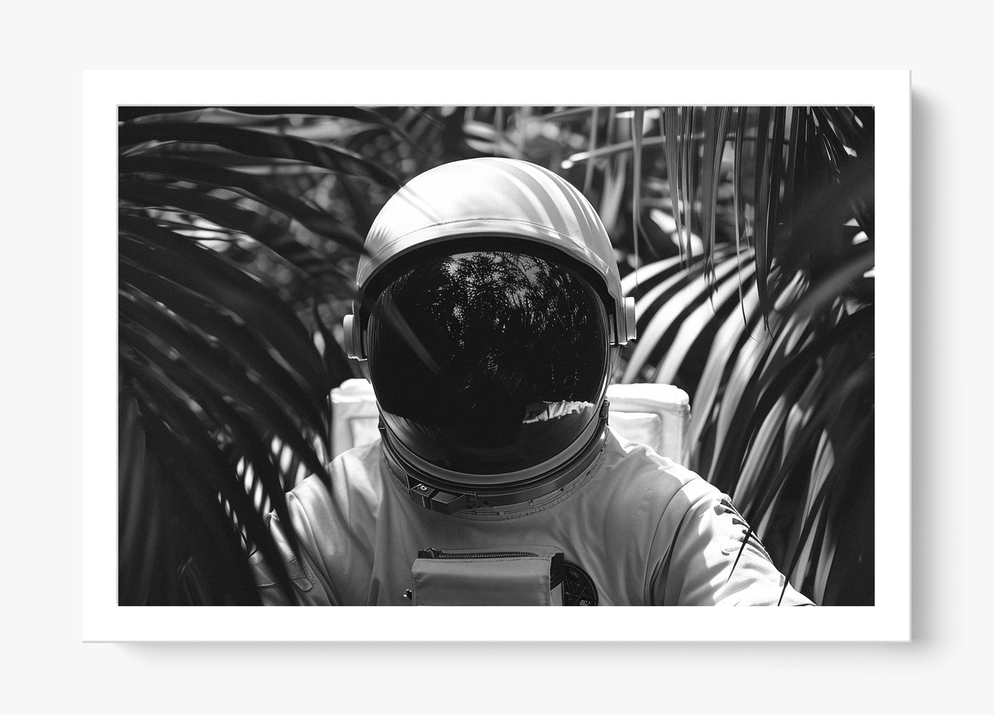 Down To Earth