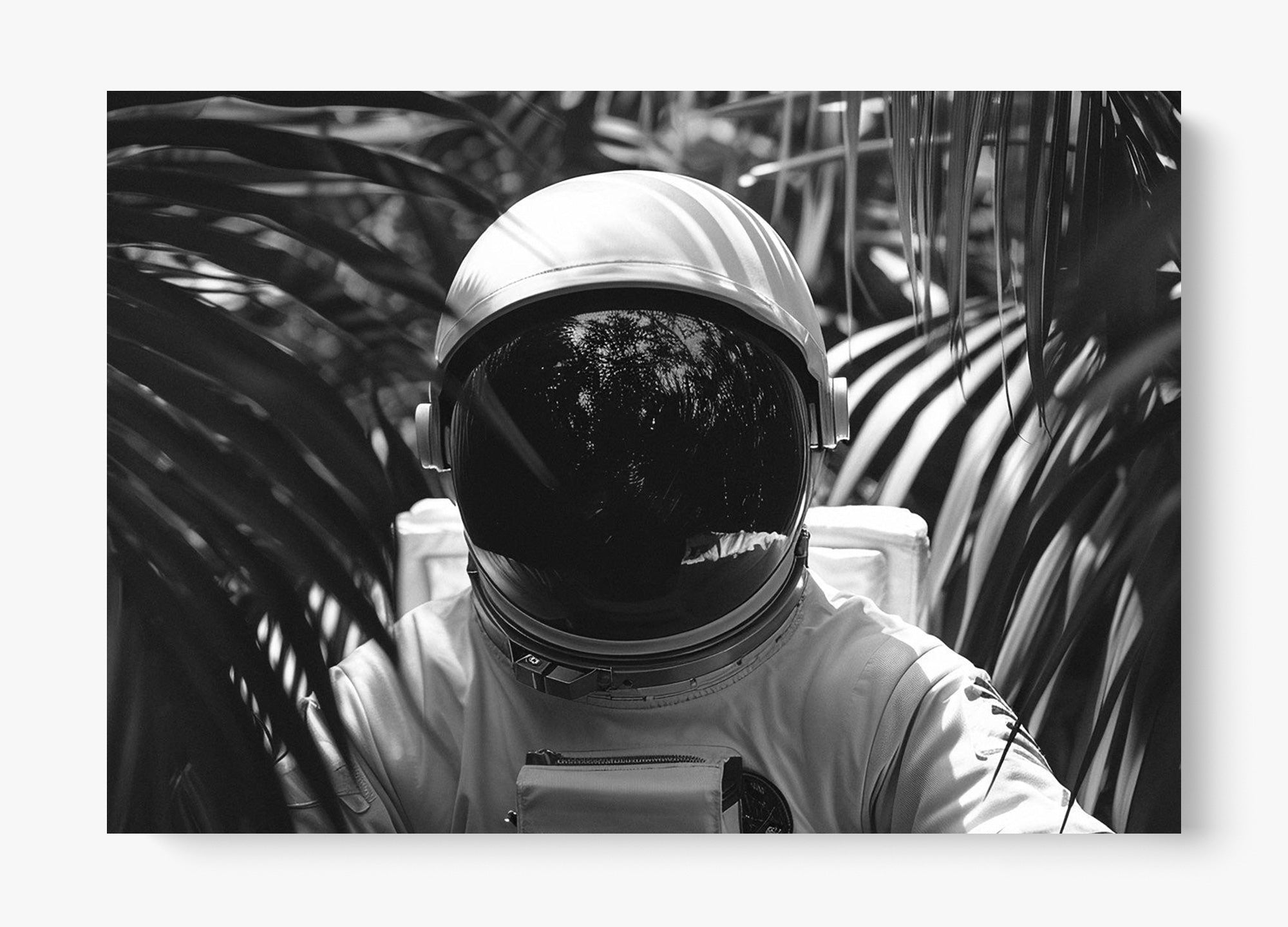 Down To Earth