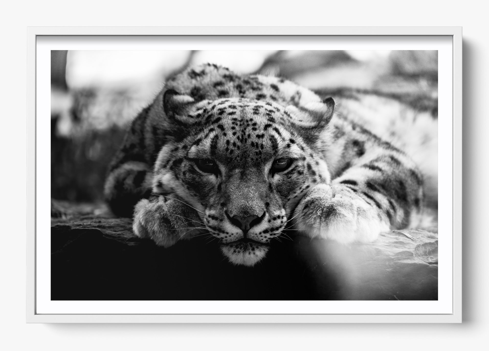 Shut Eye