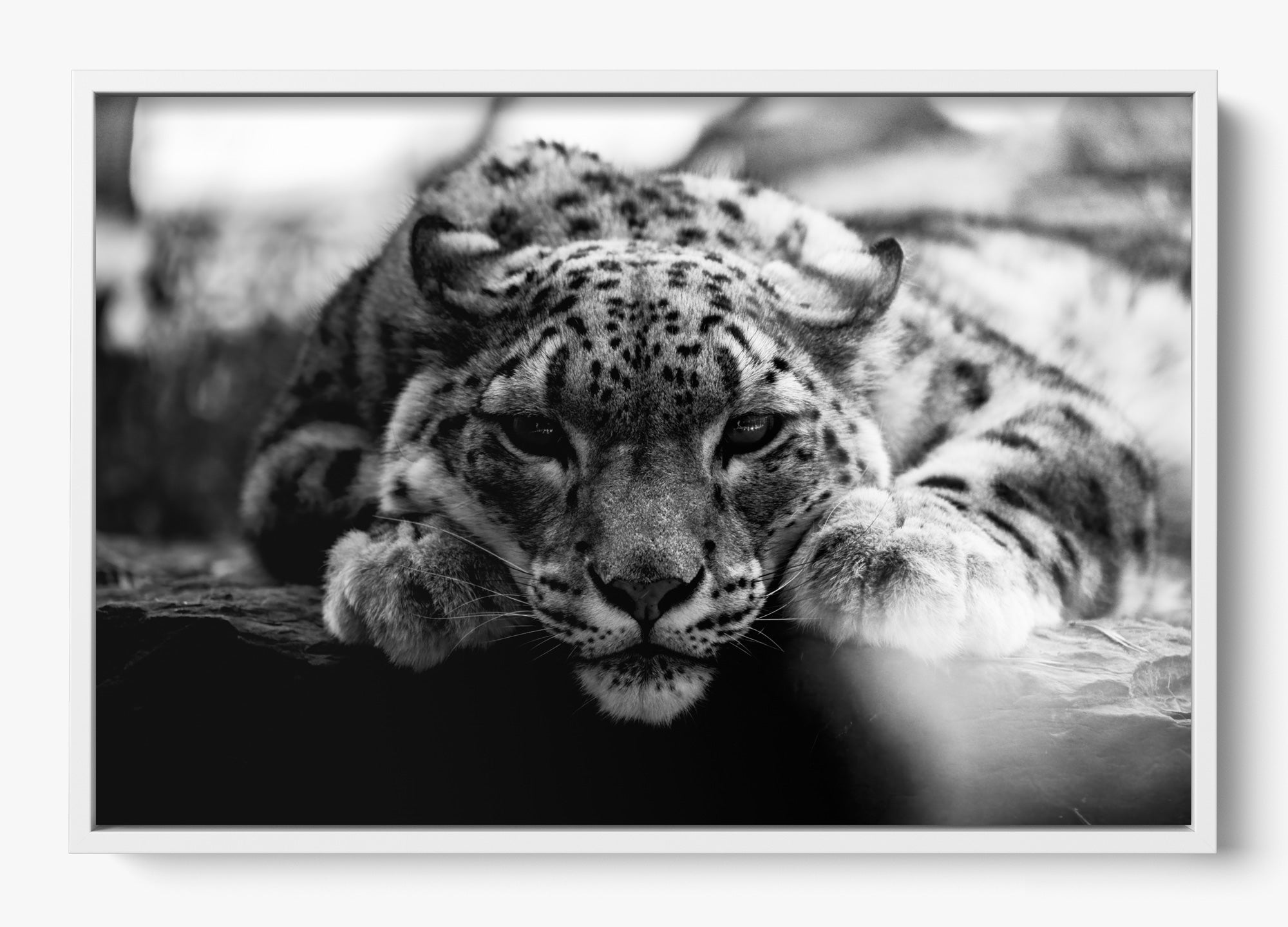 Shut Eye