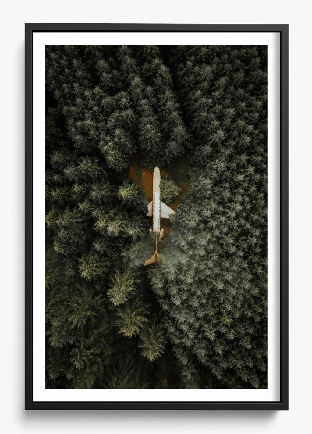 Among The Trees