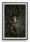 Among The Trees