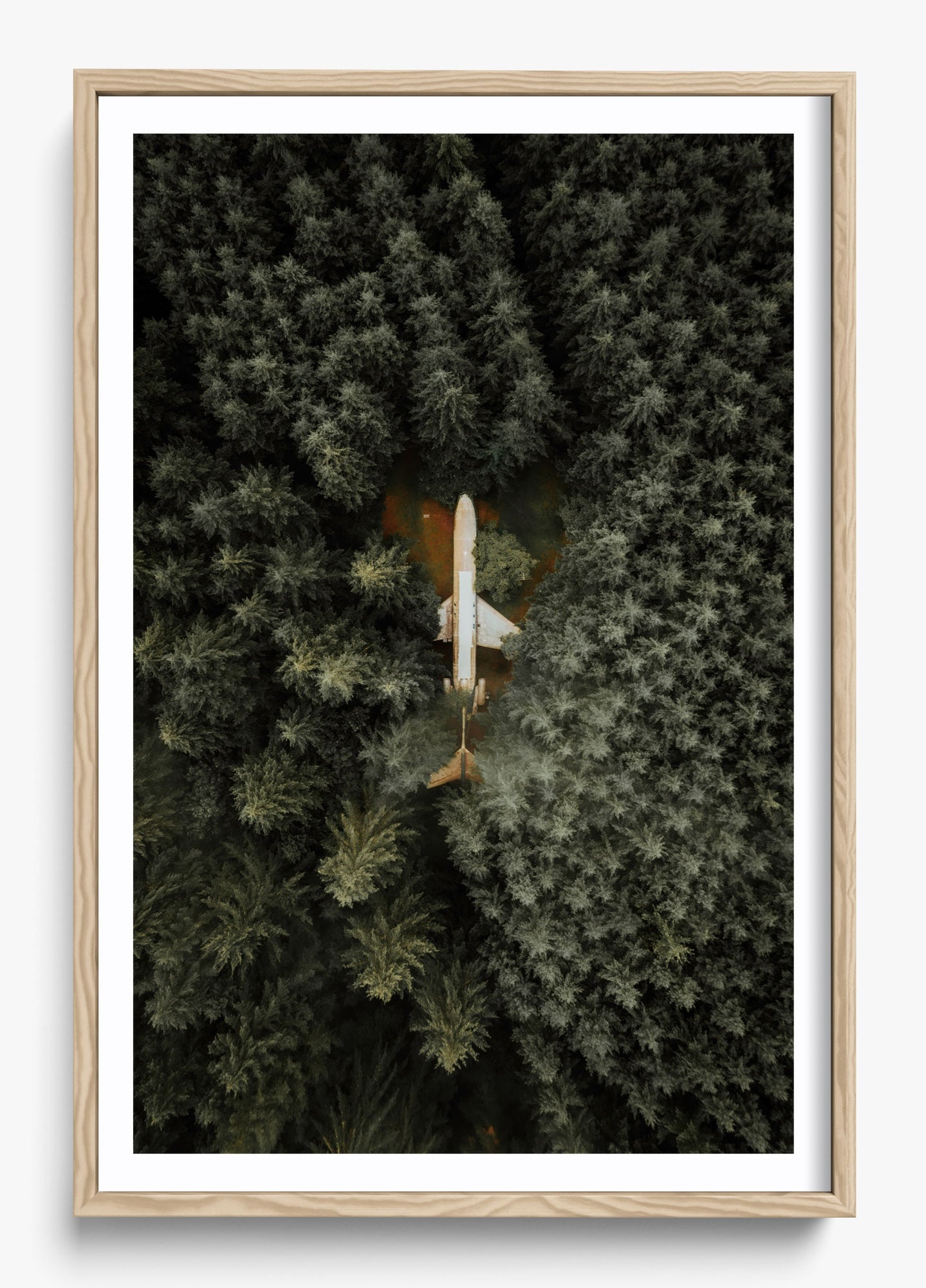 Among The Trees