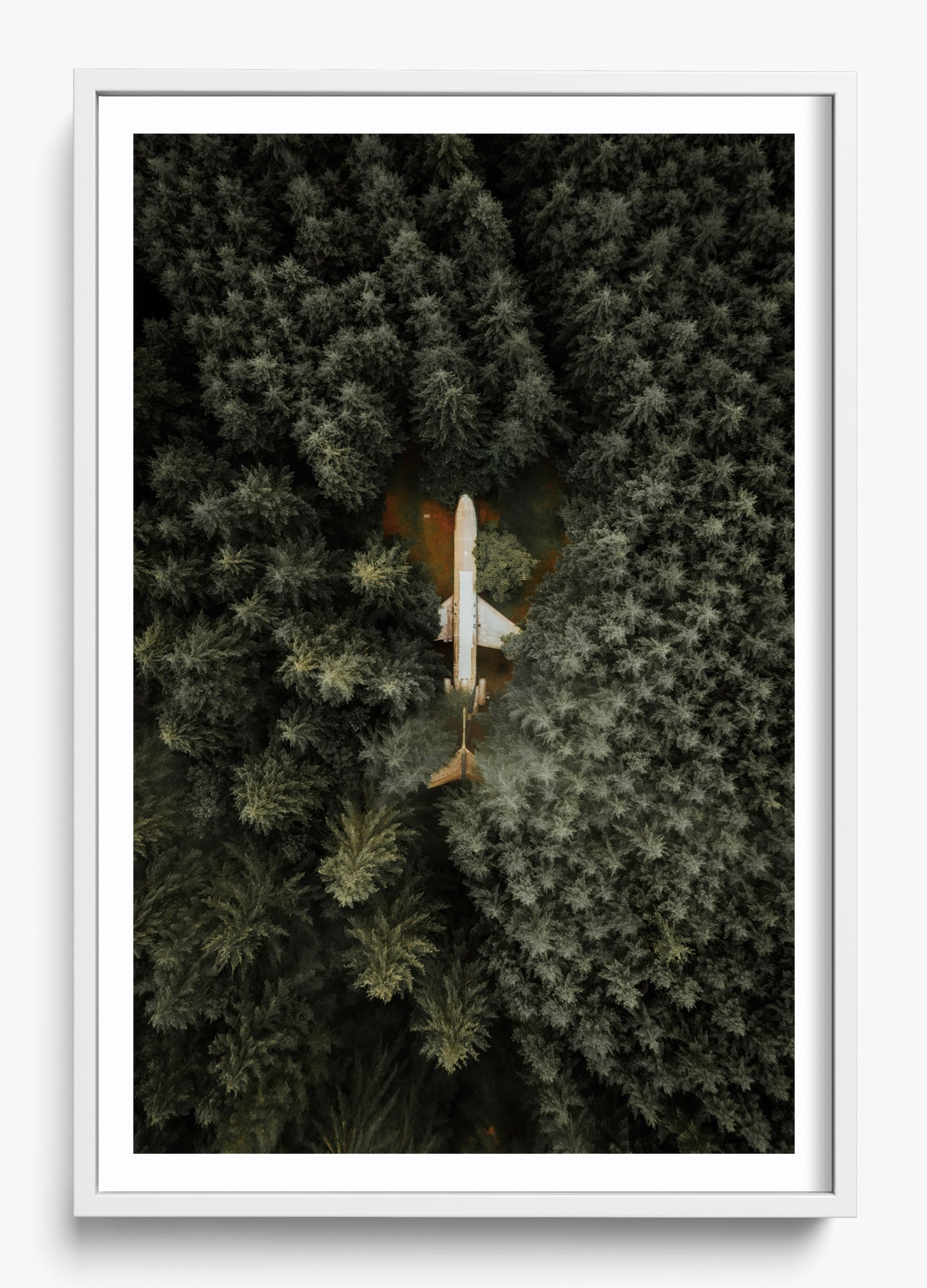 Among The Trees