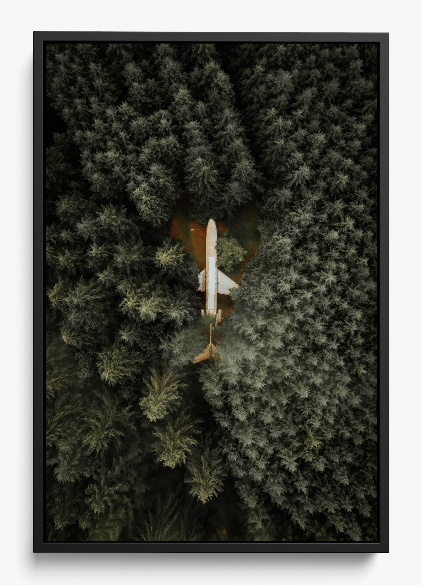 Among The Trees