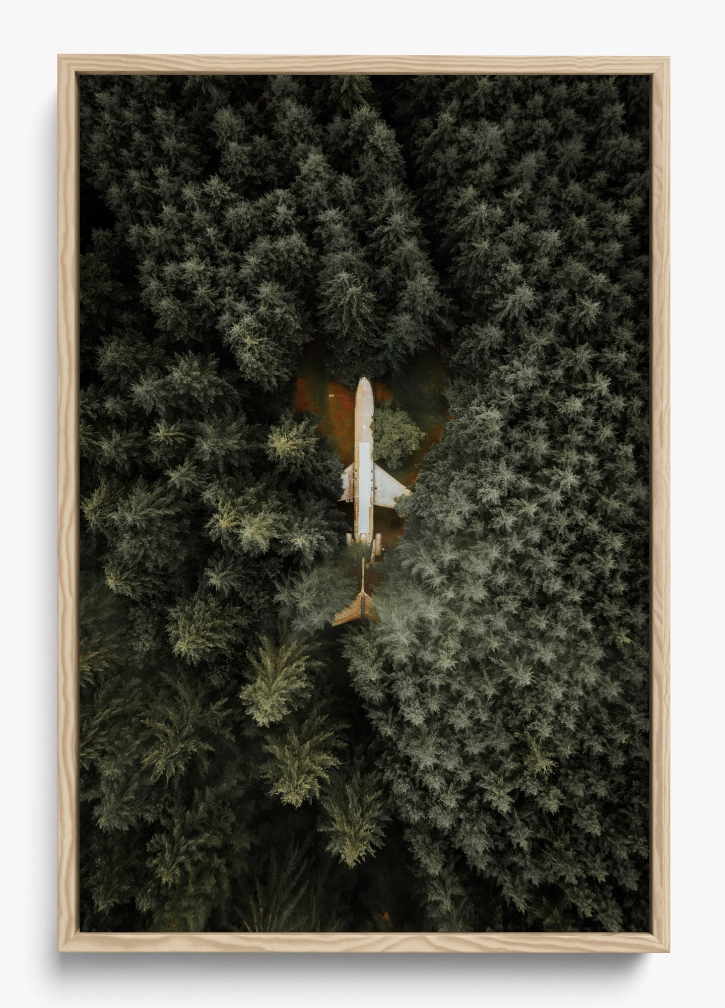Among The Trees