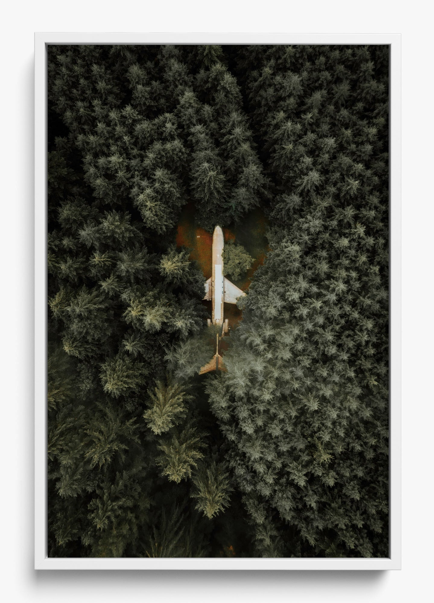 Among The Trees