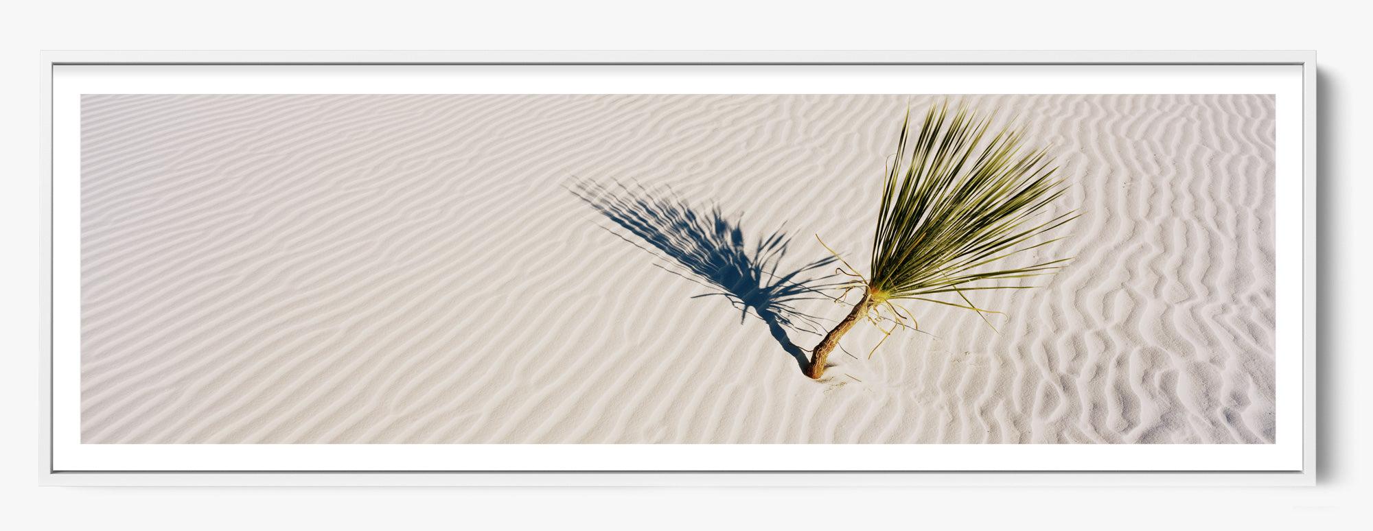 Grow Anywhere