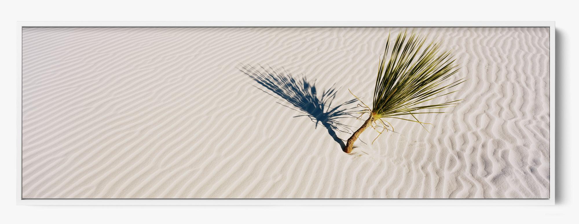 Grow Anywhere