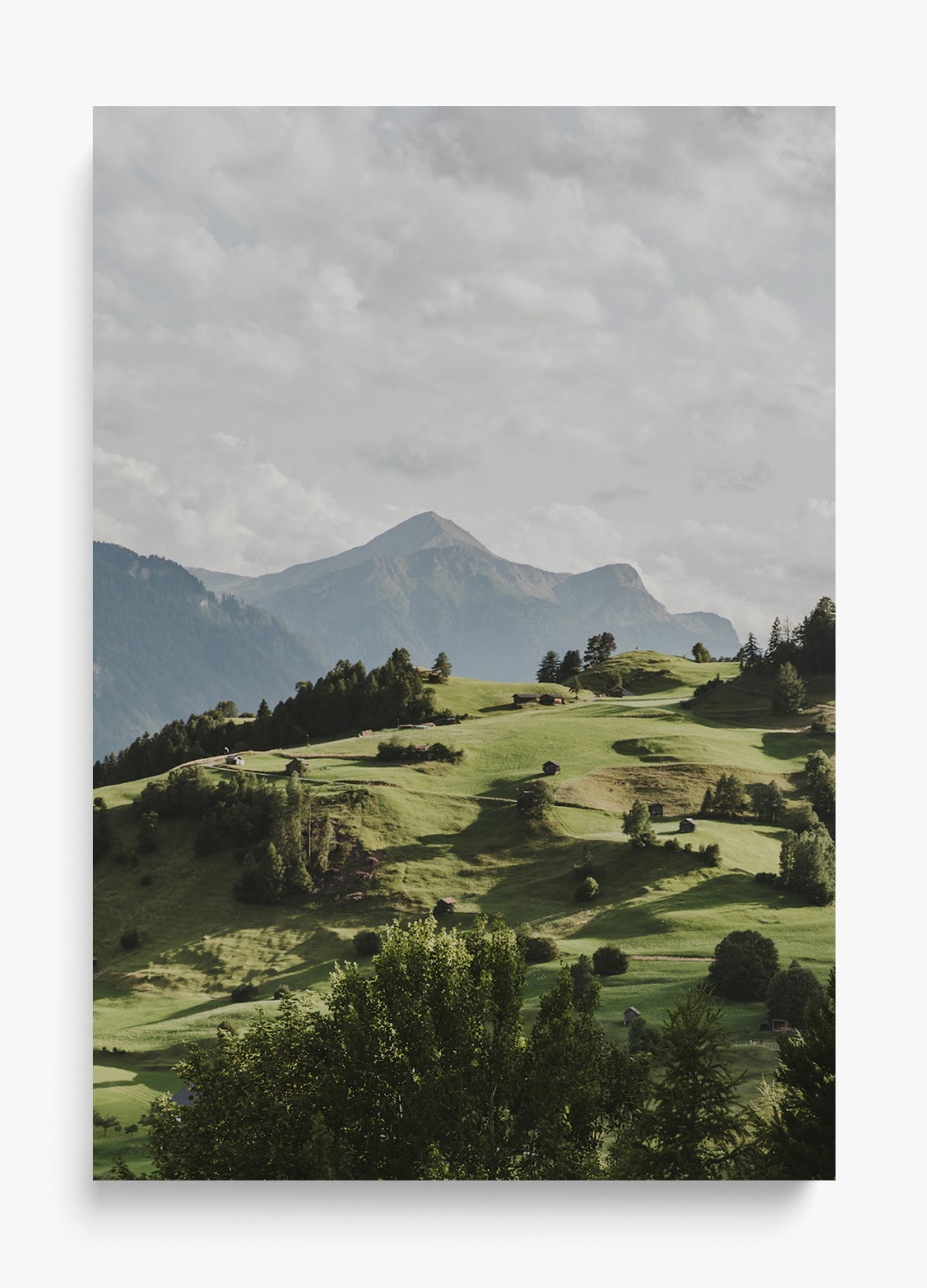 Hills Are Alive