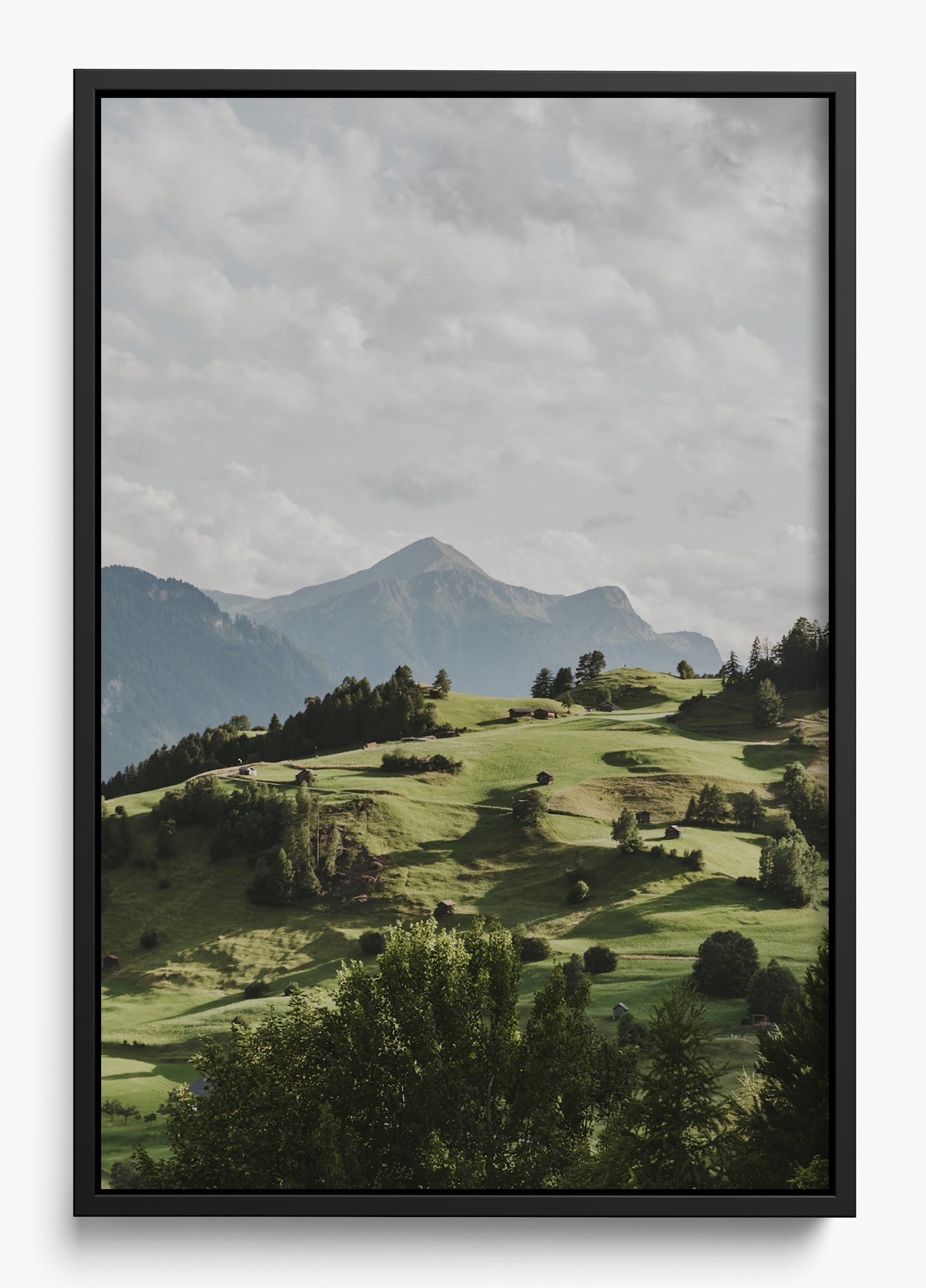 Hills Are Alive