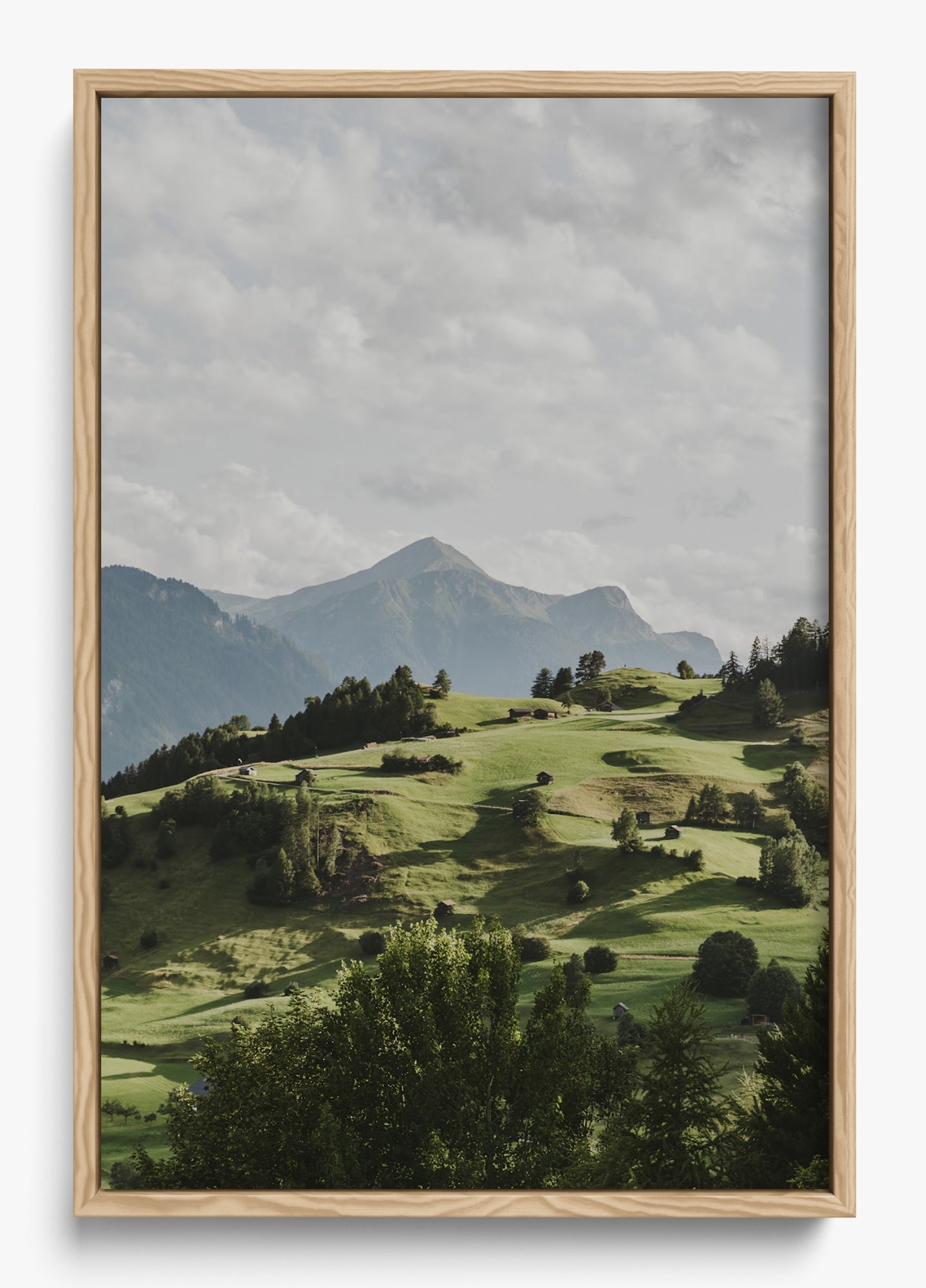 Hills Are Alive