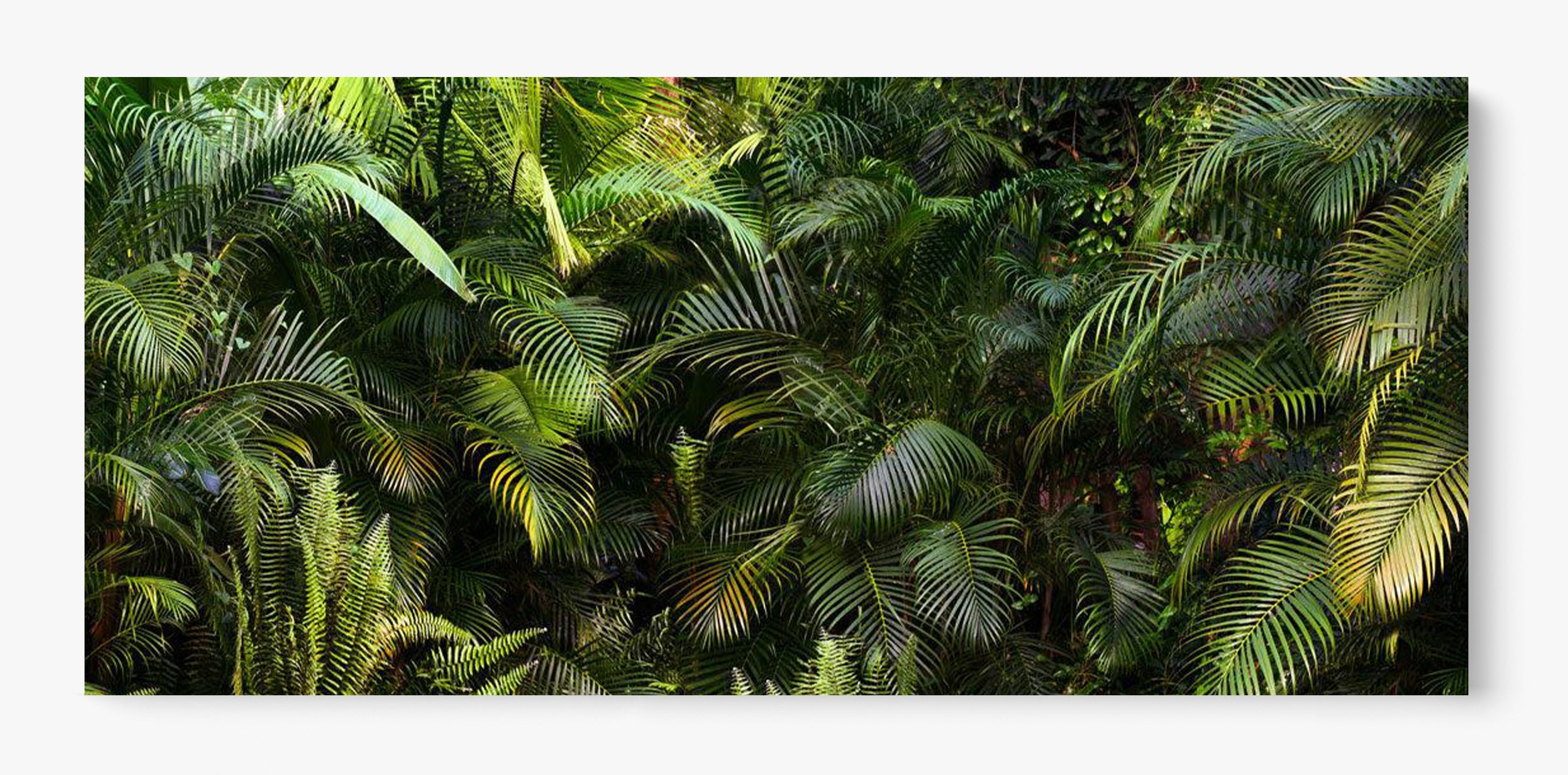 Jungle Fever