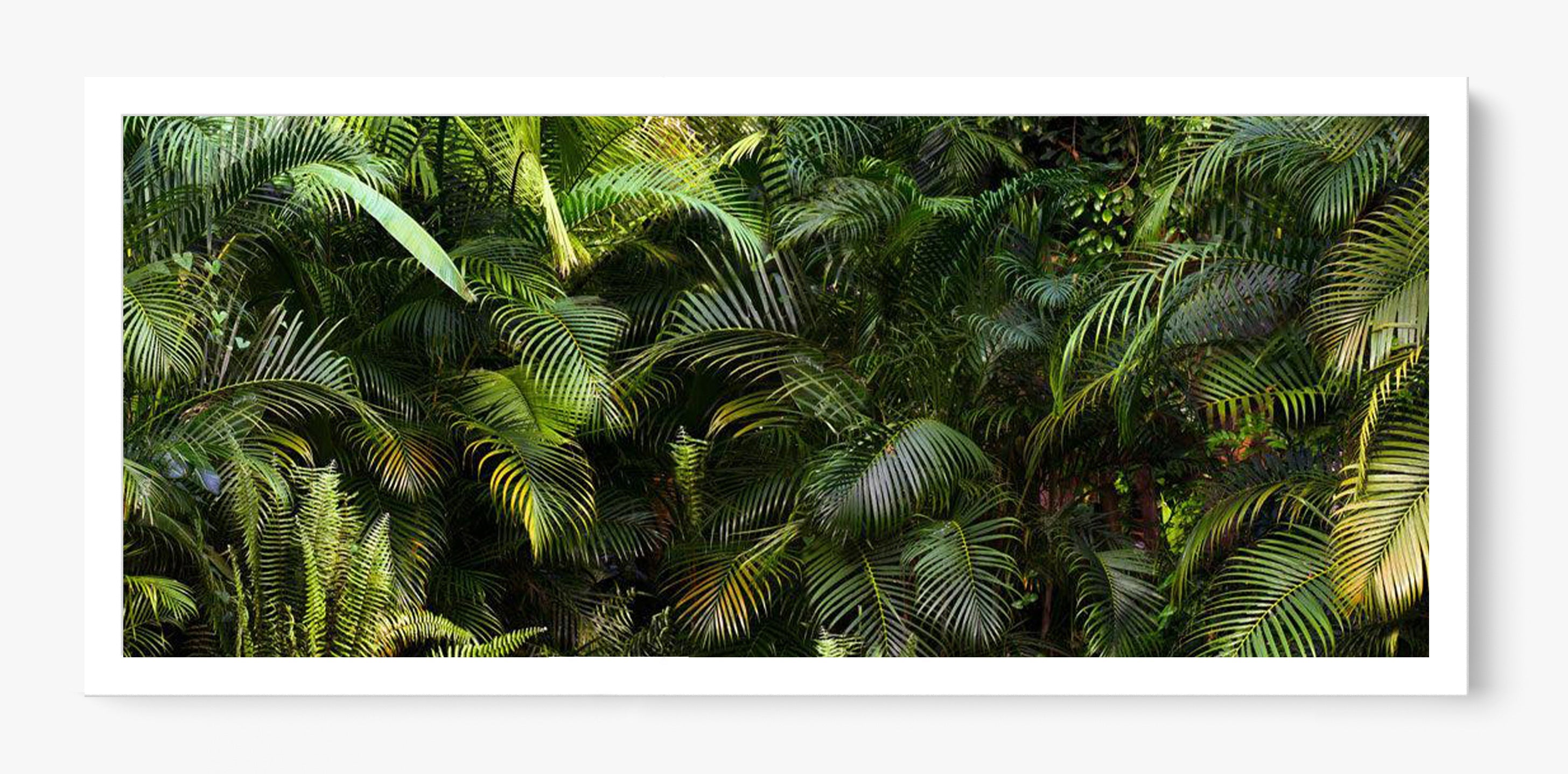 Jungle Fever