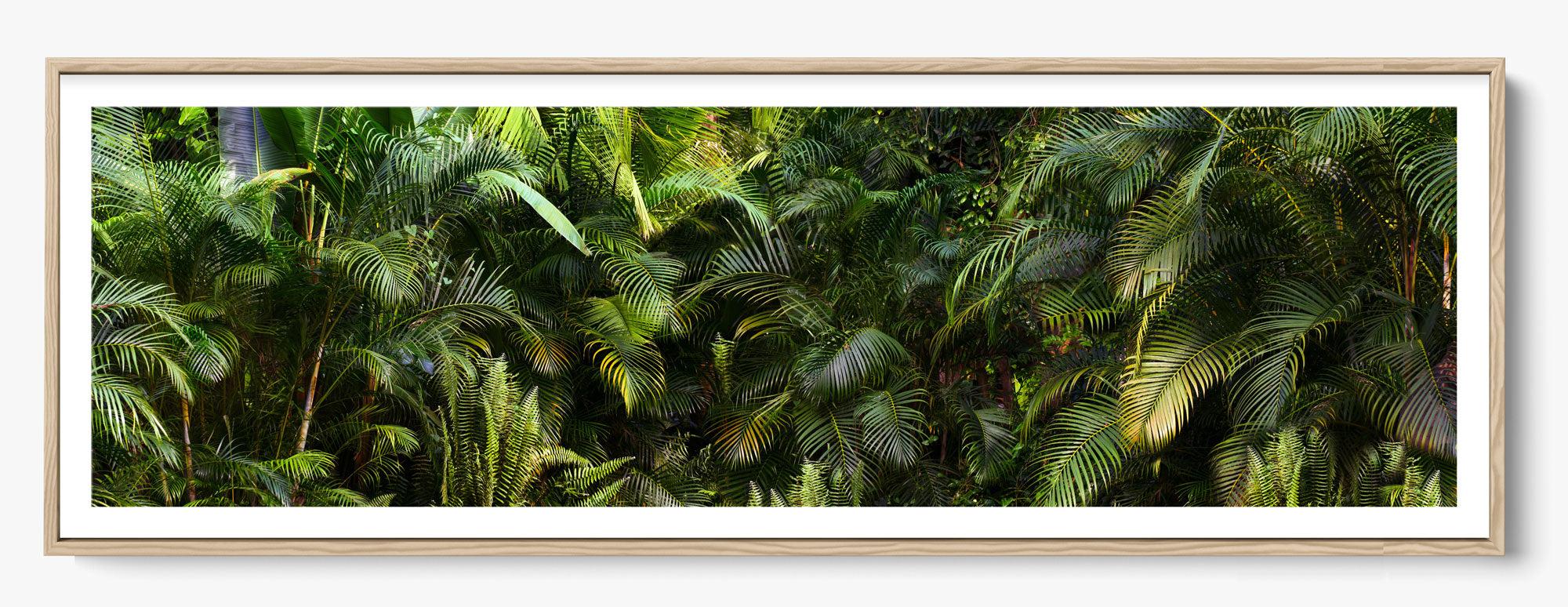 Jungle Fever