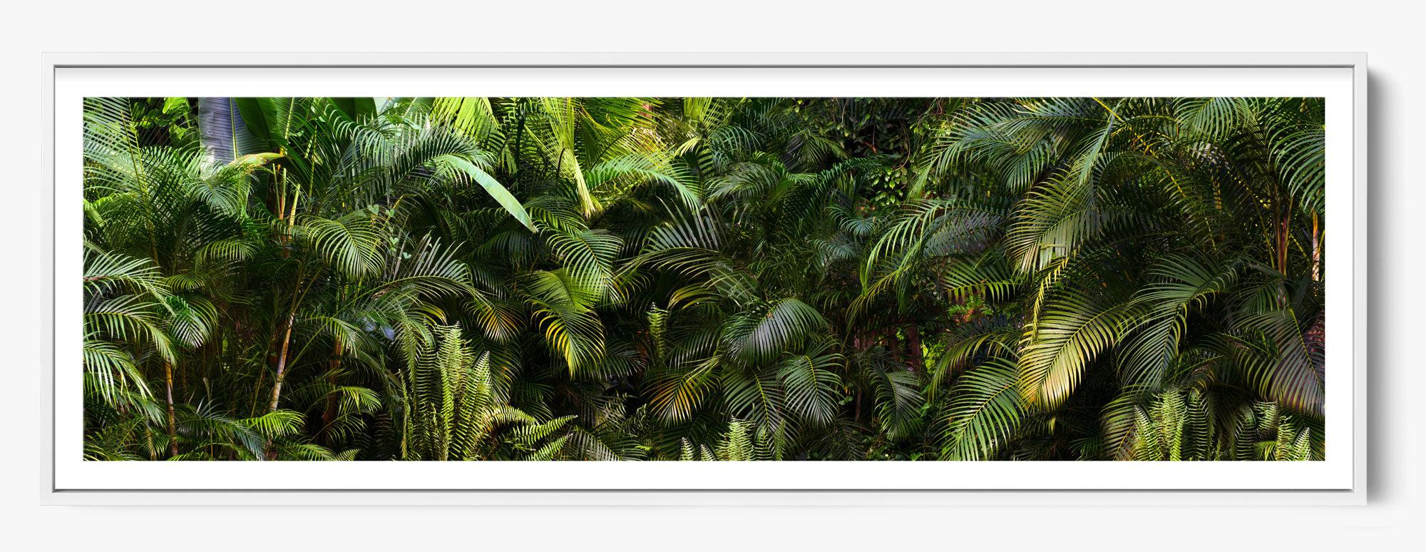 Jungle Fever
