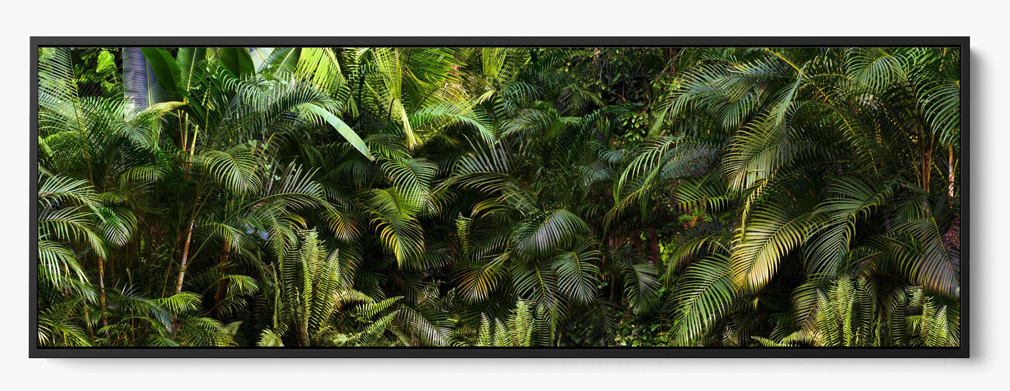 Jungle Fever