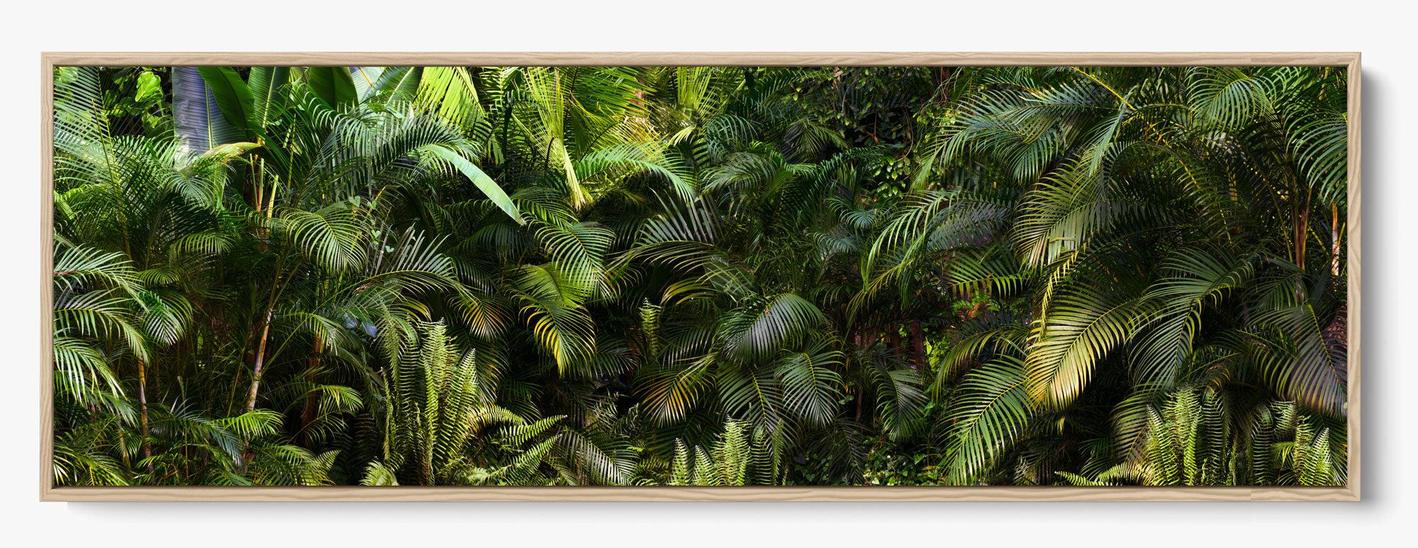 Jungle Fever