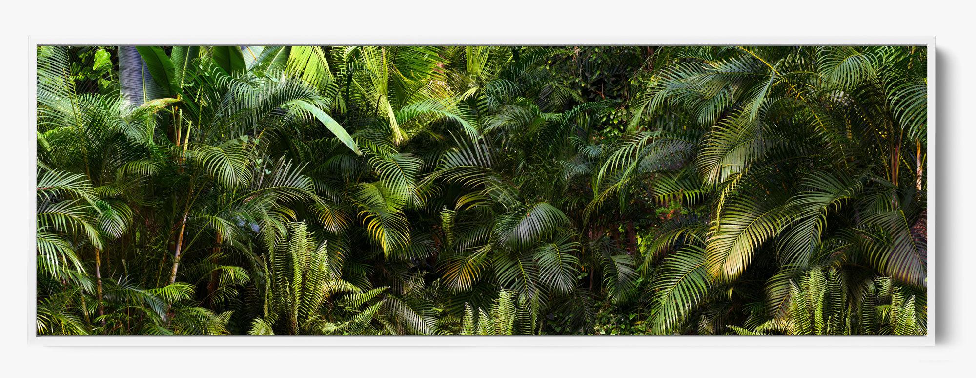 Jungle Fever