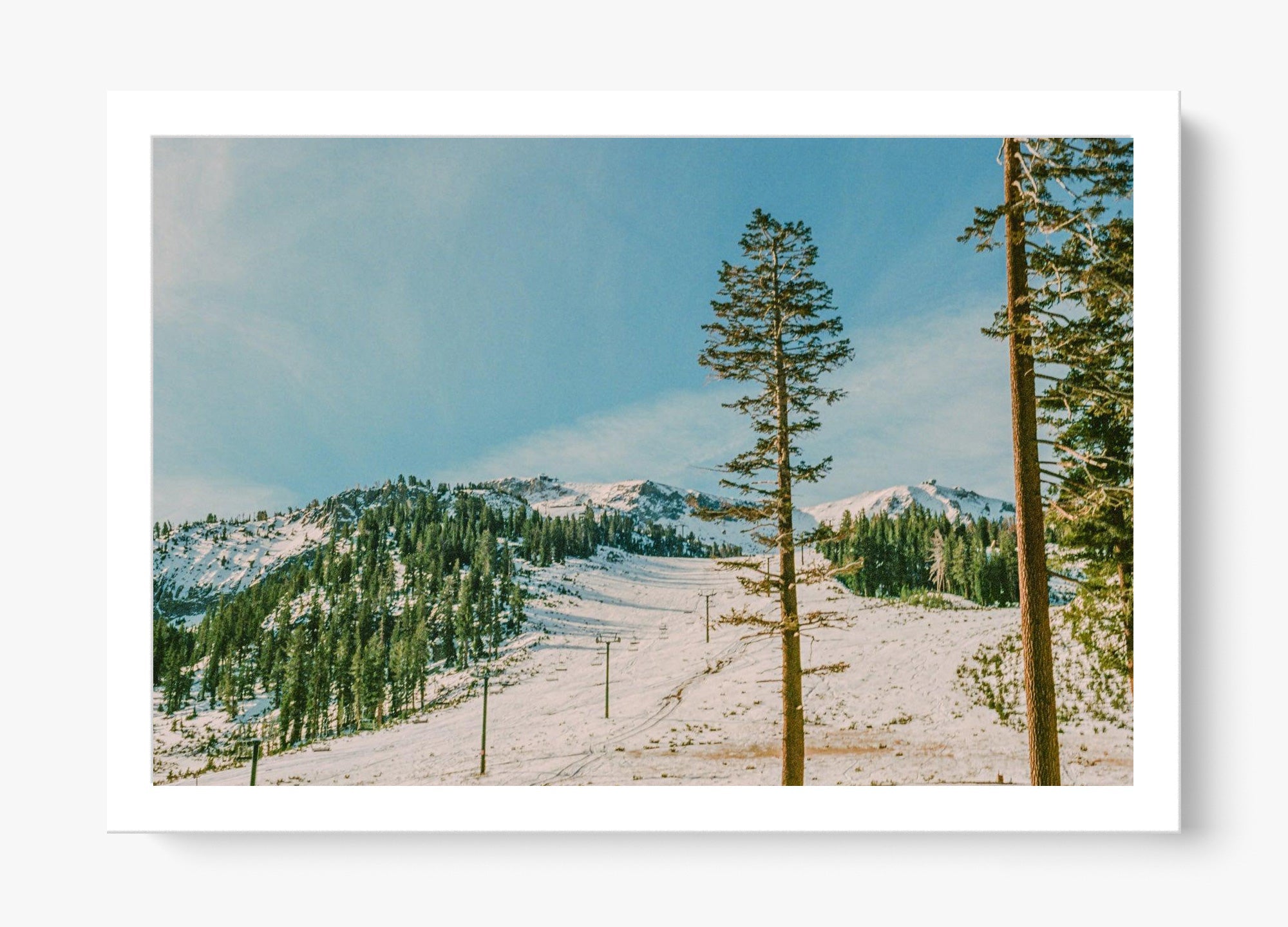 Mammoth In Spring