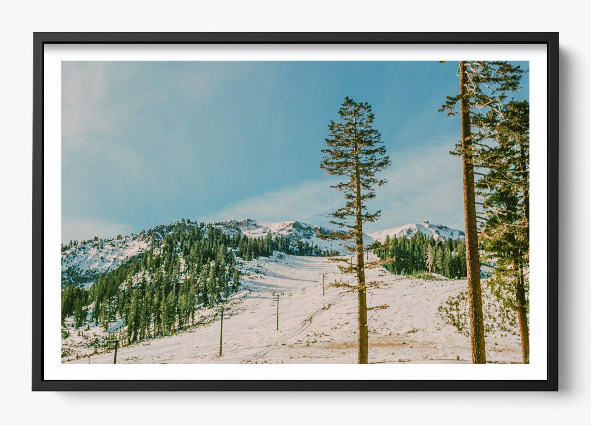 Mammoth In Spring