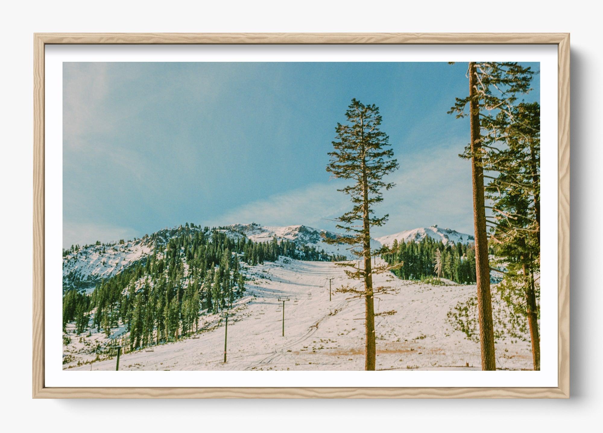 Mammoth In Spring