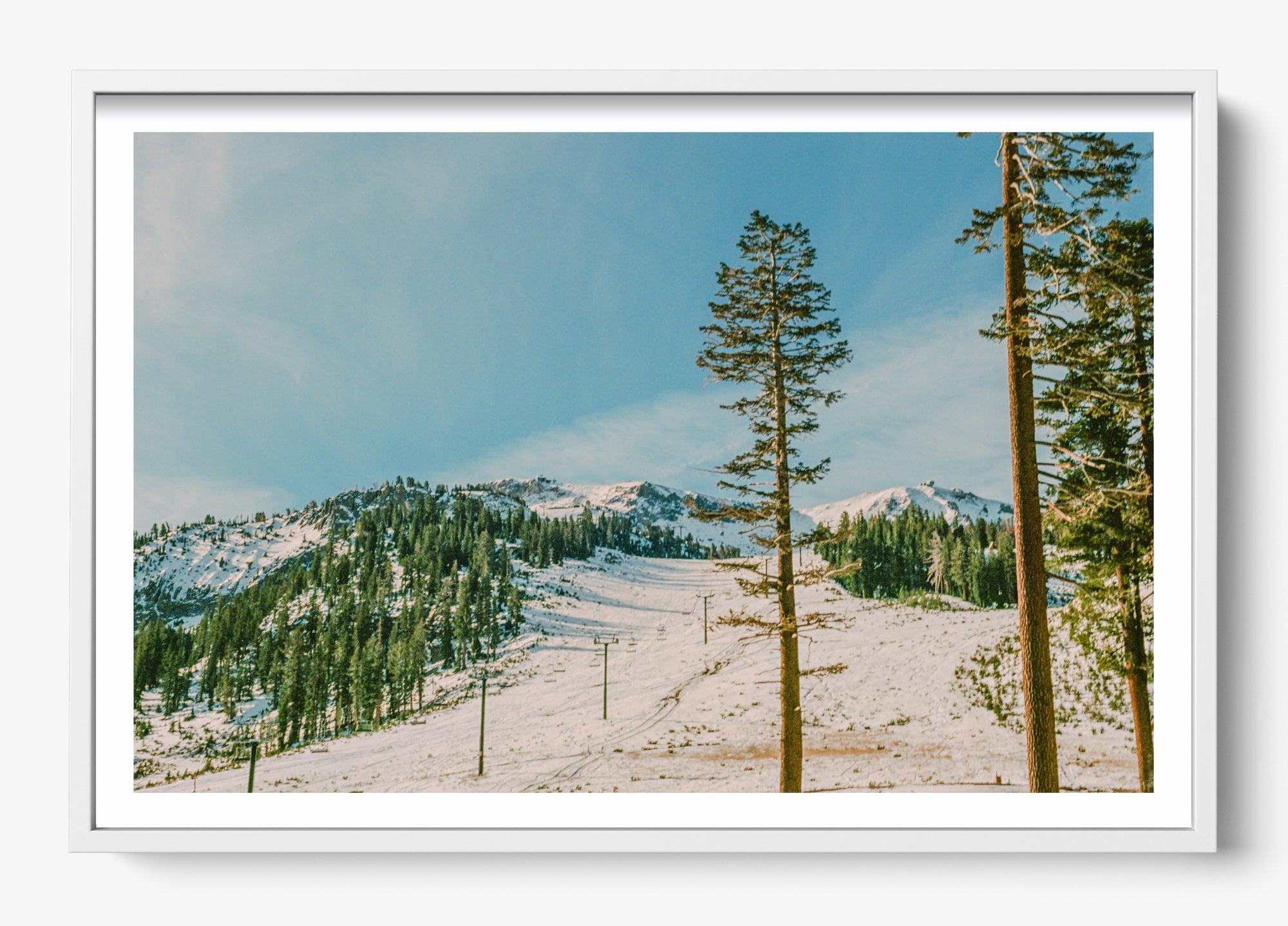 Mammoth In Spring
