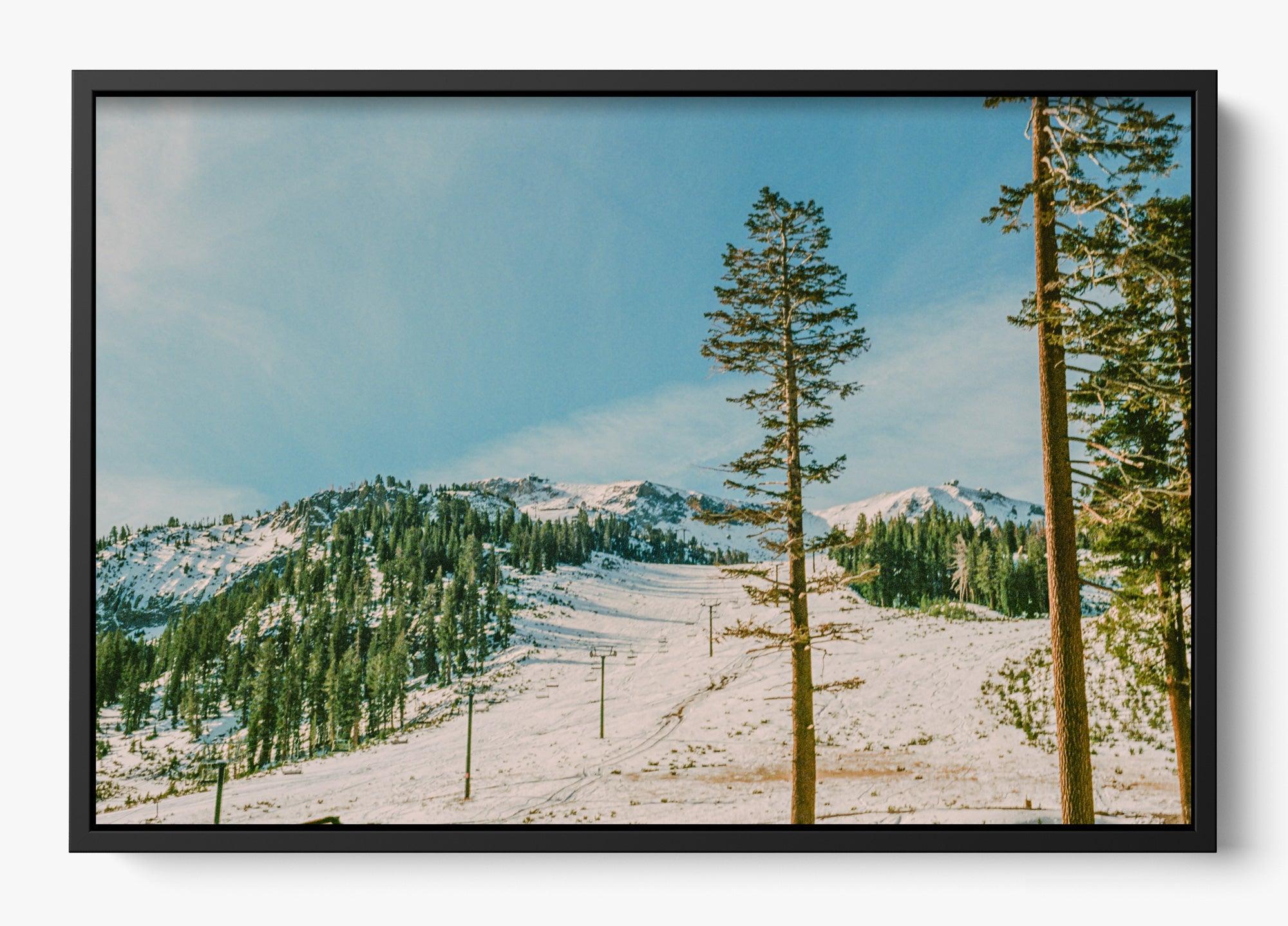 Mammoth In Spring