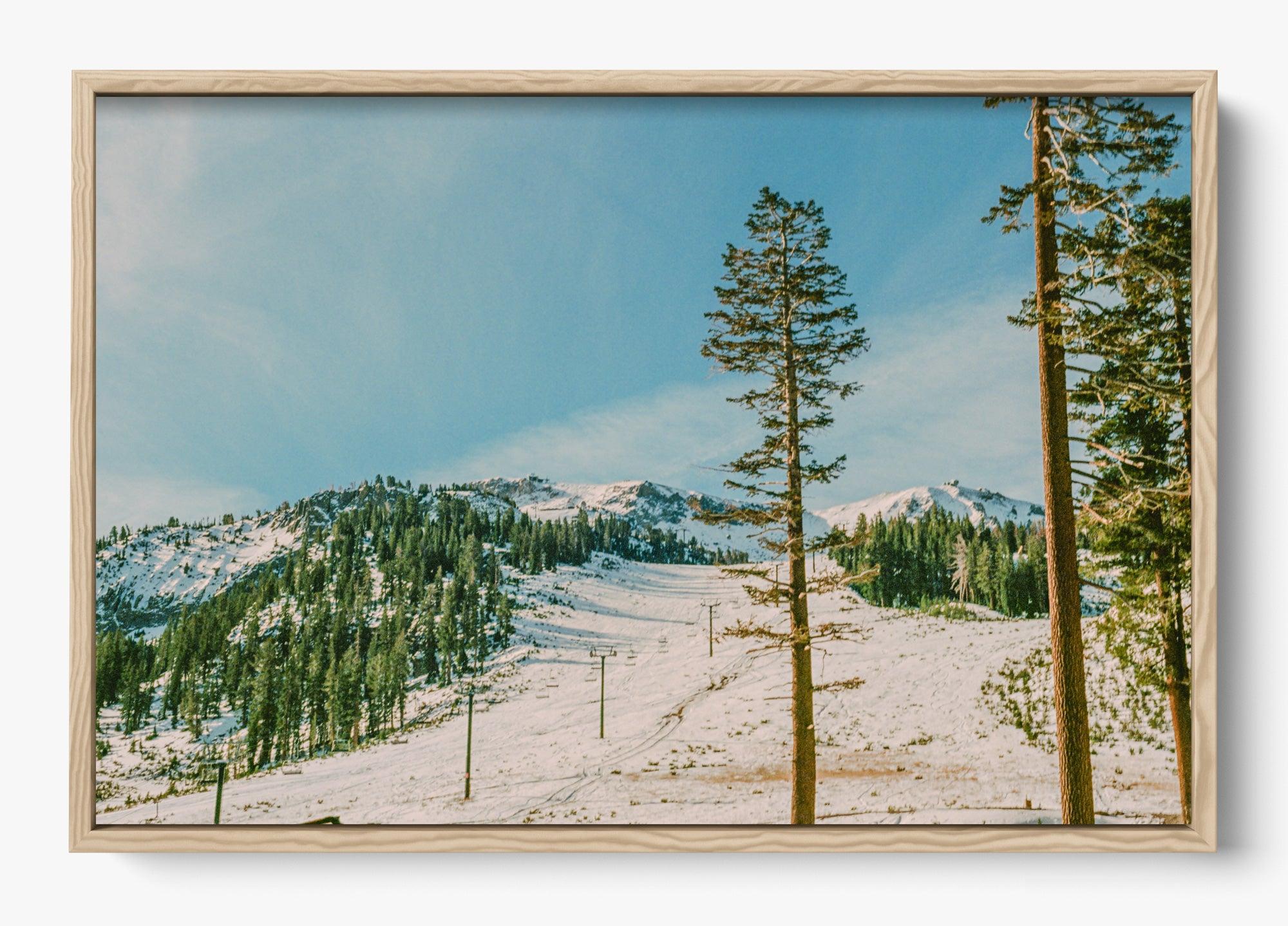 Mammoth In Spring