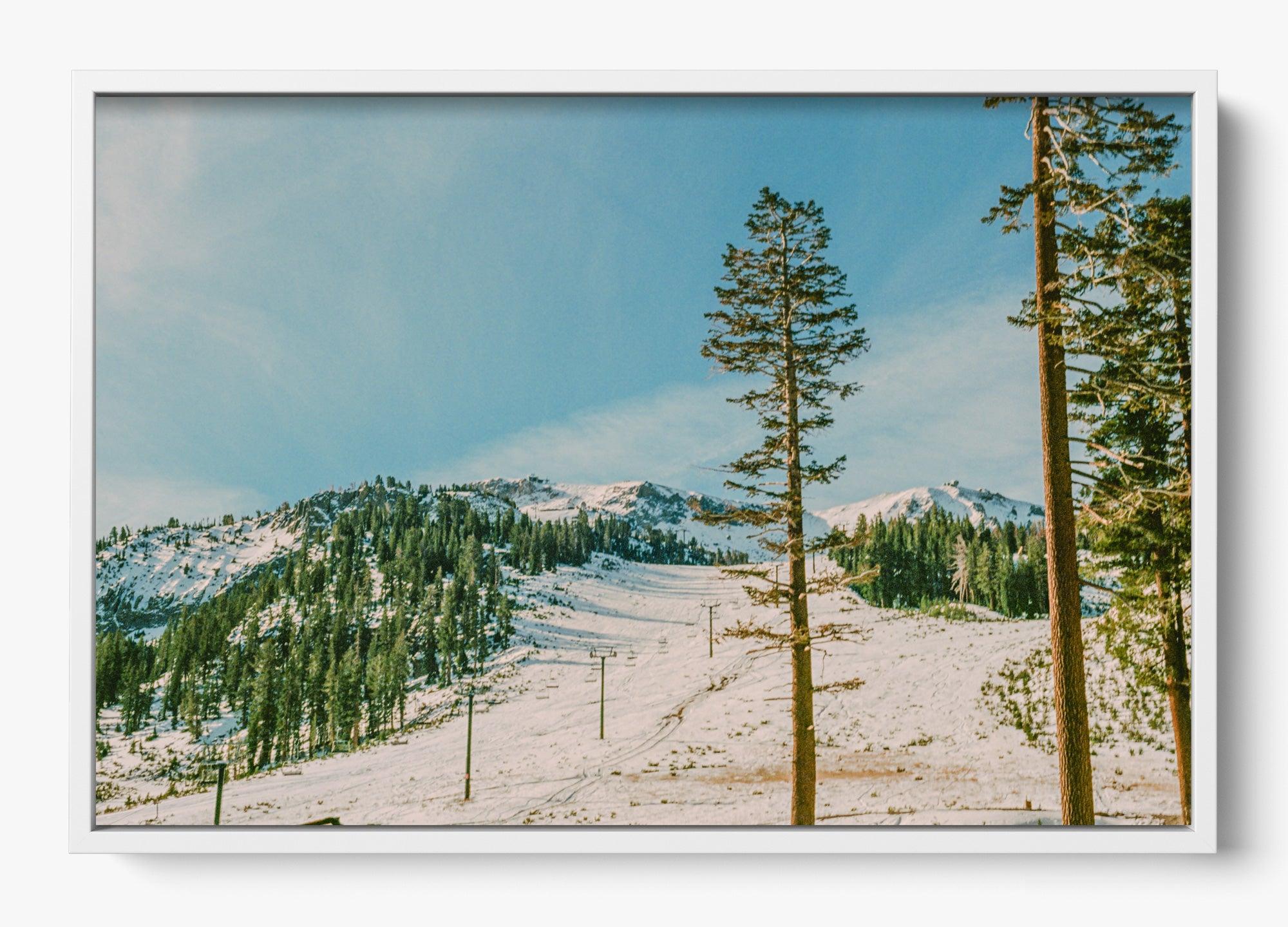 Mammoth In Spring