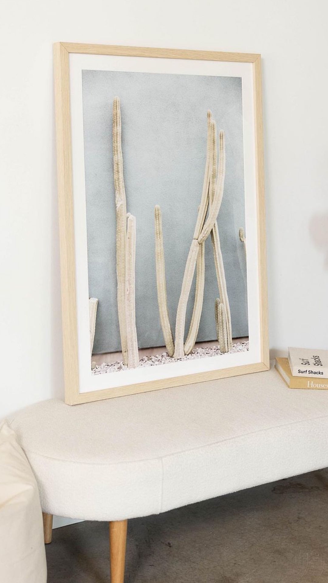 Melrose Cacti