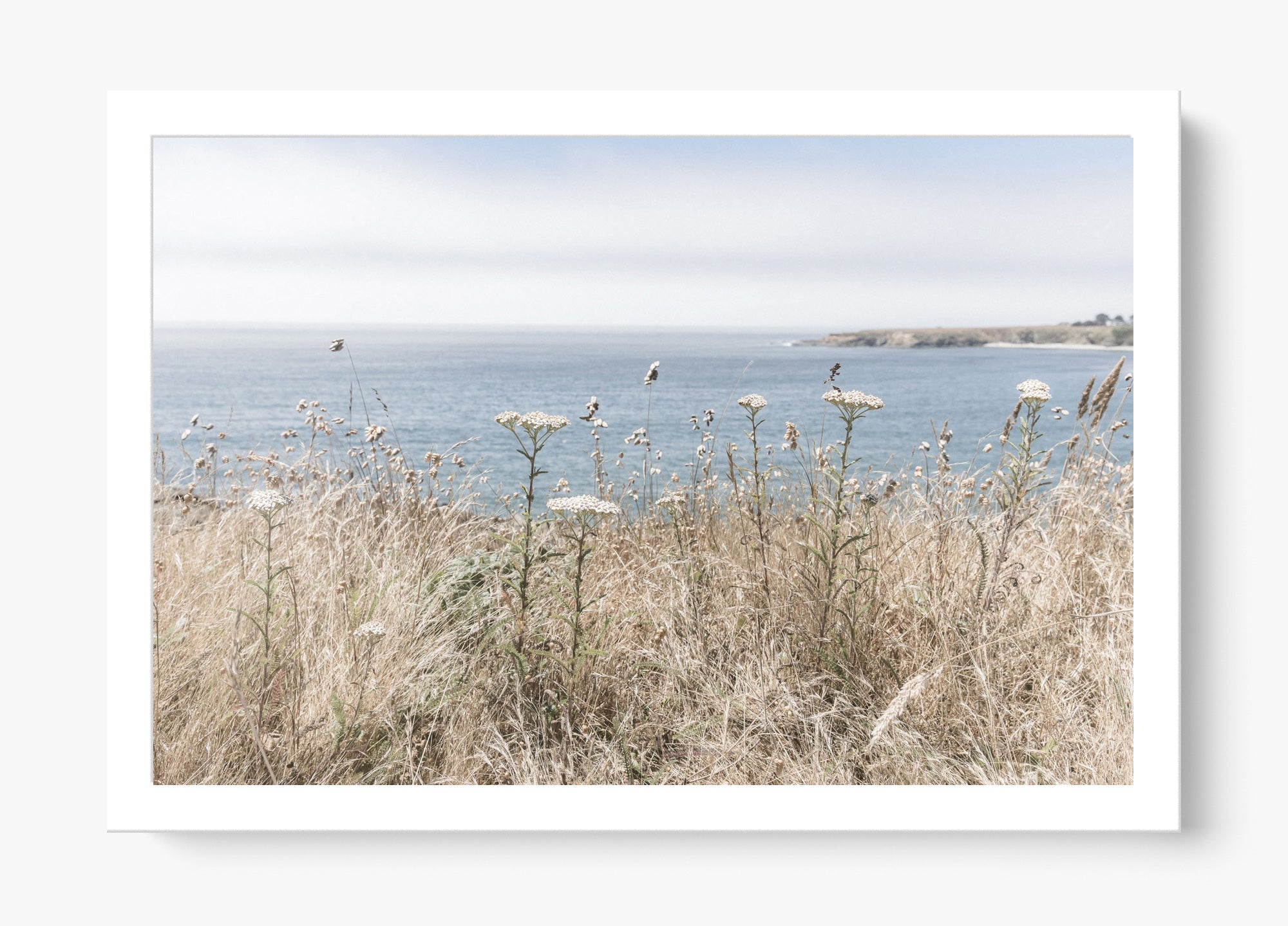 Mendocino Wild