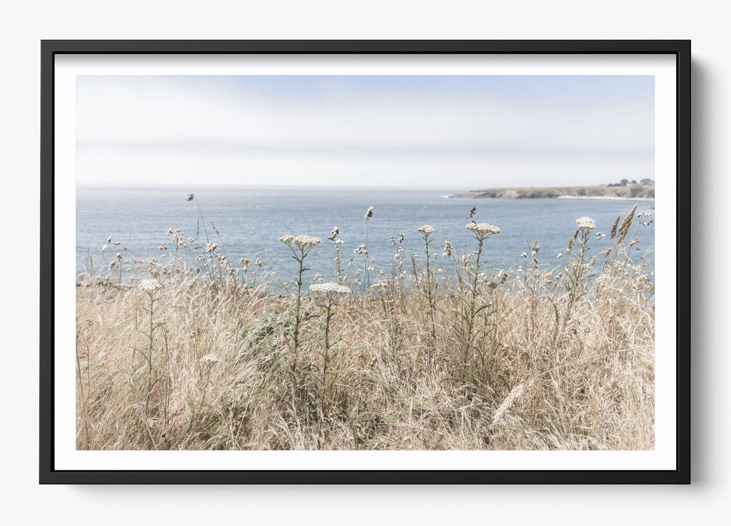 Mendocino Wild