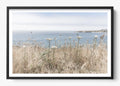 Mendocino Wild