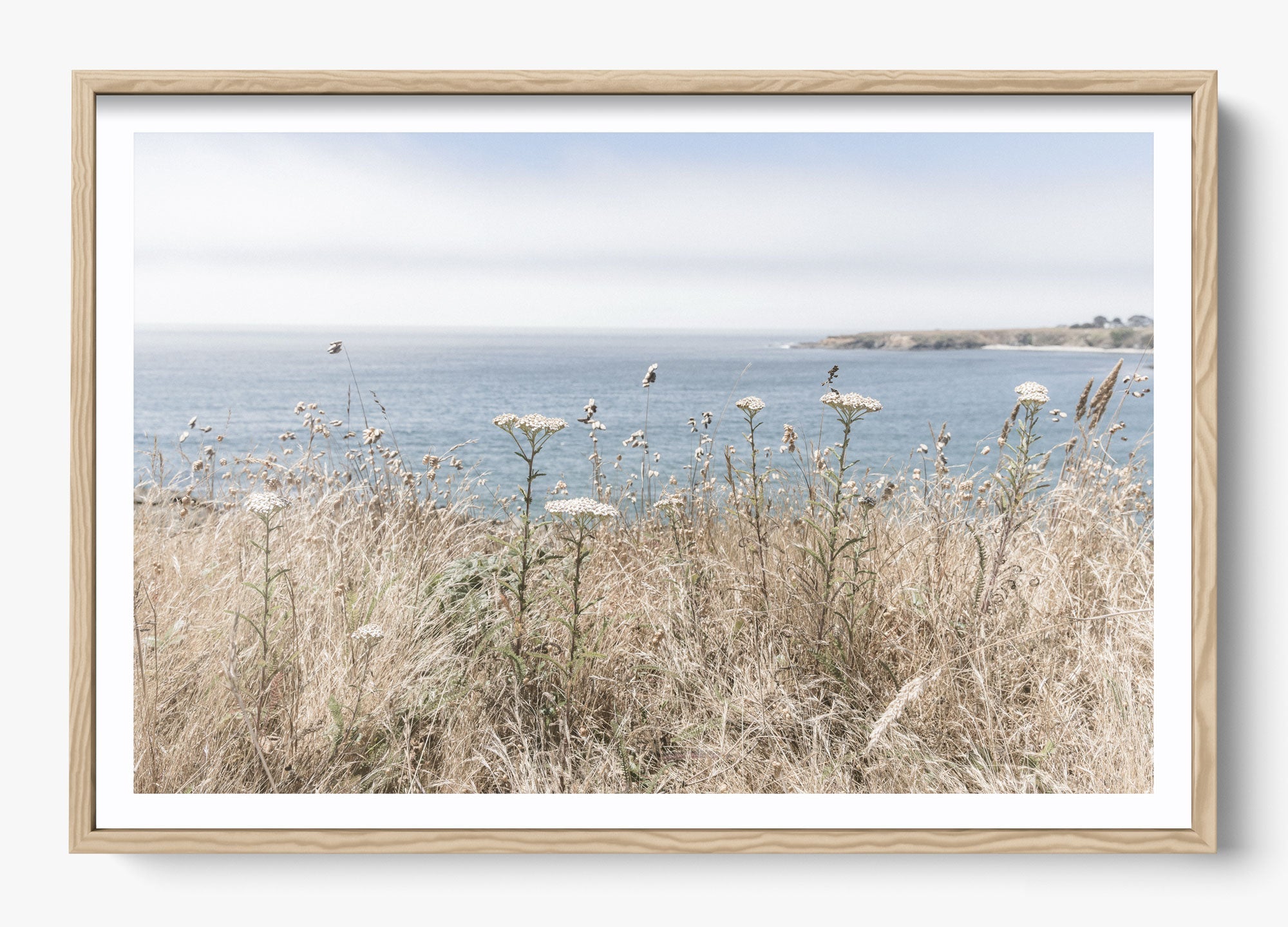 Mendocino Wild