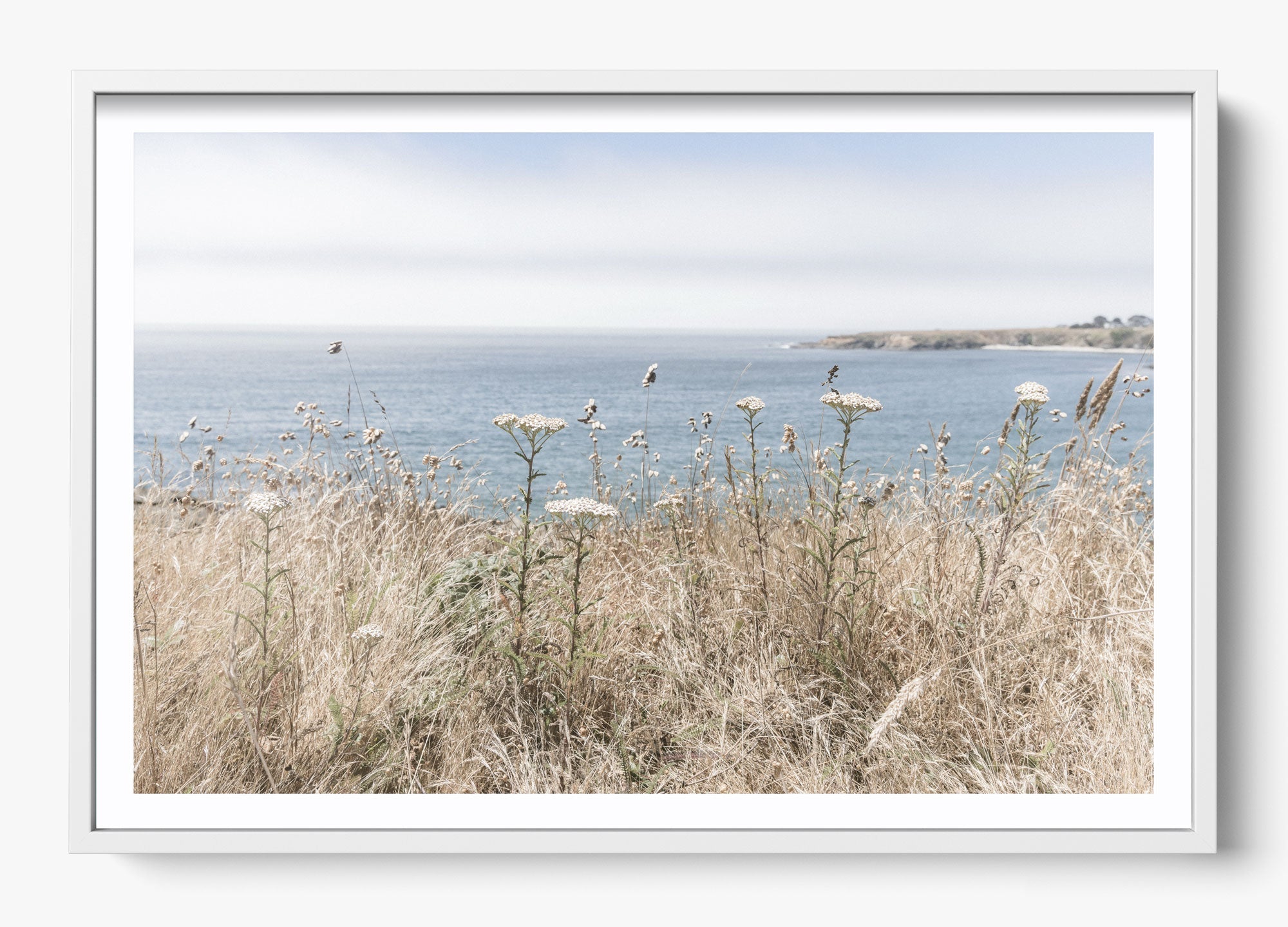 Mendocino Wild
