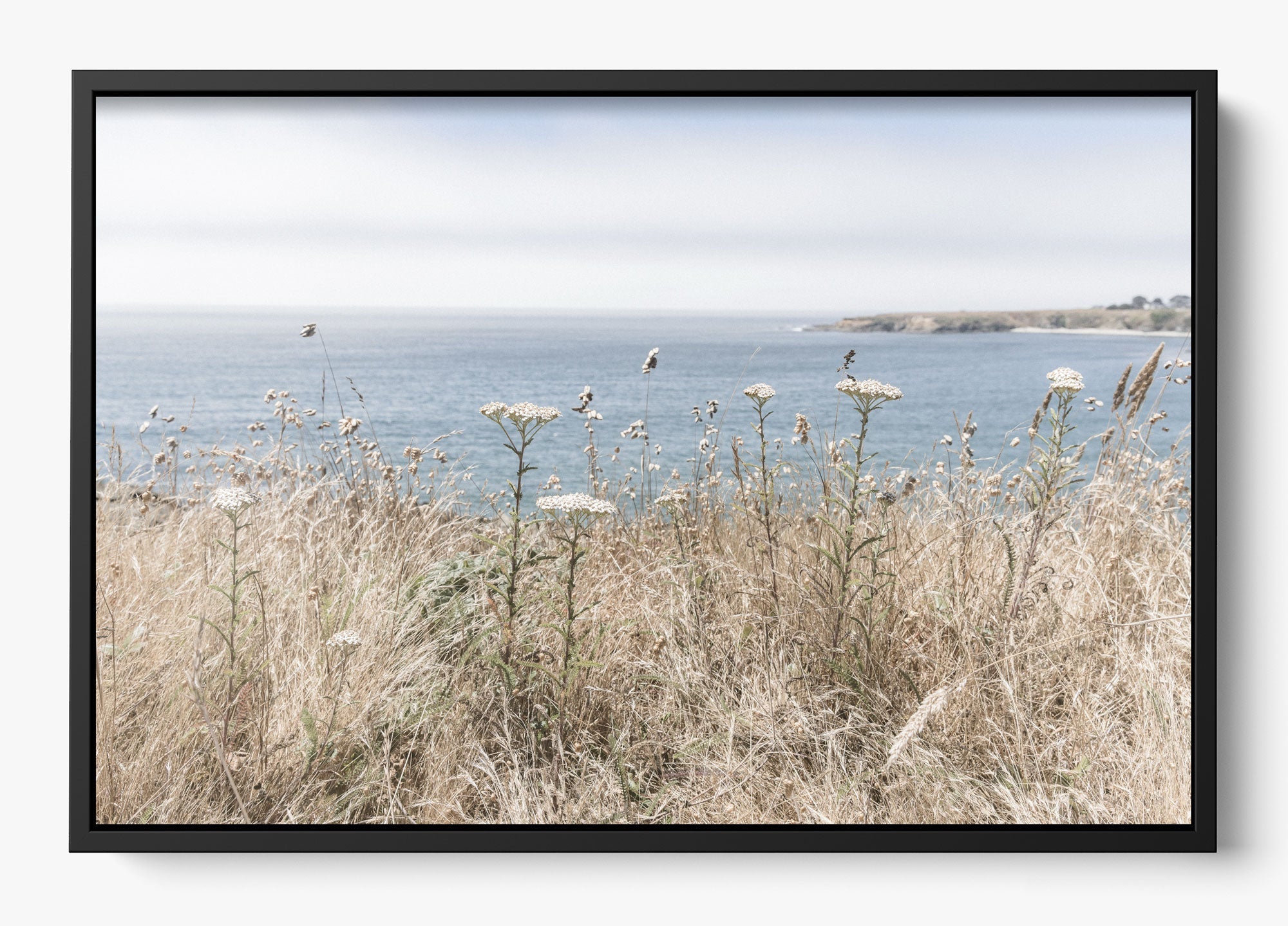 Mendocino Wild