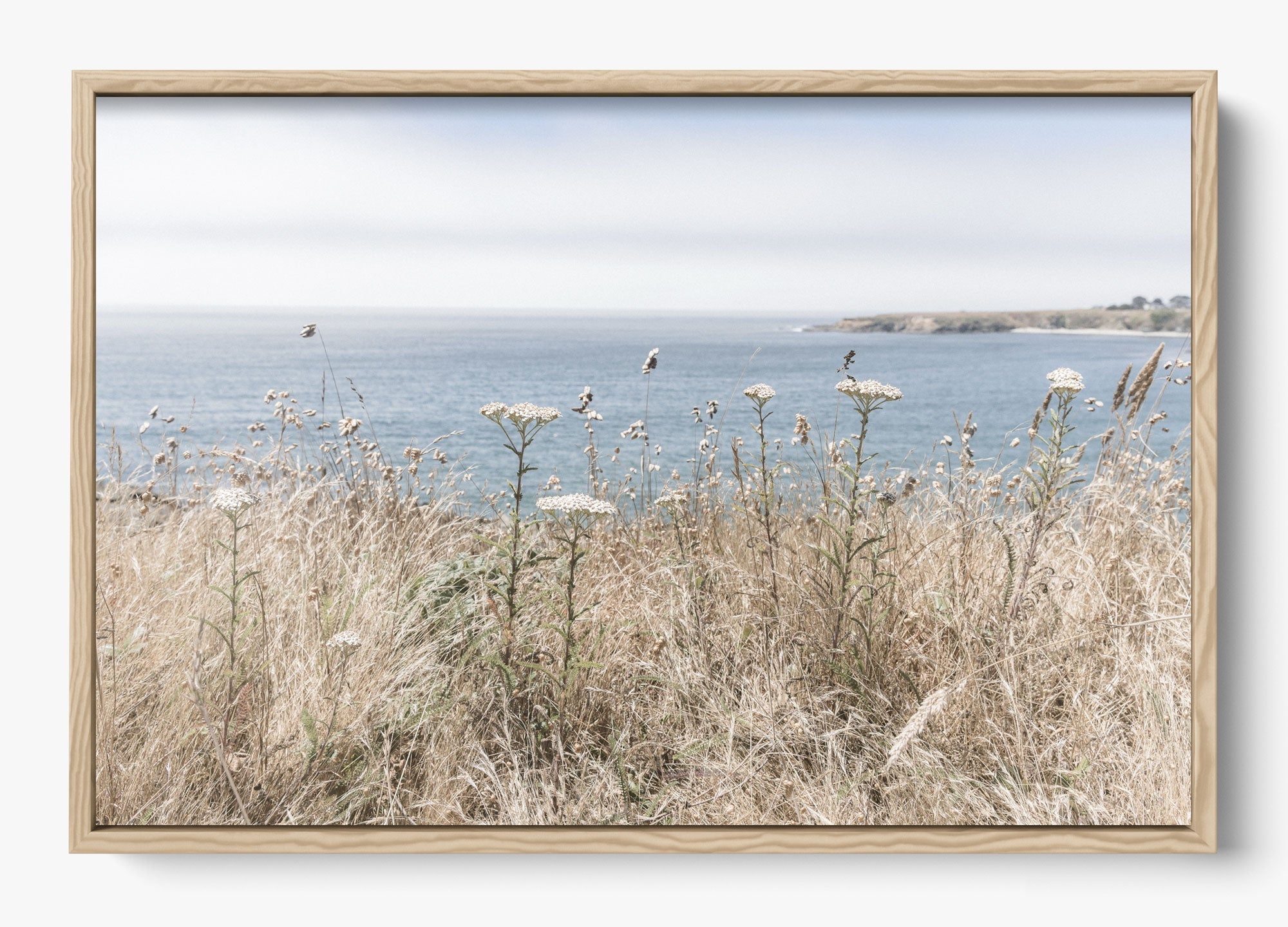 Mendocino Wild