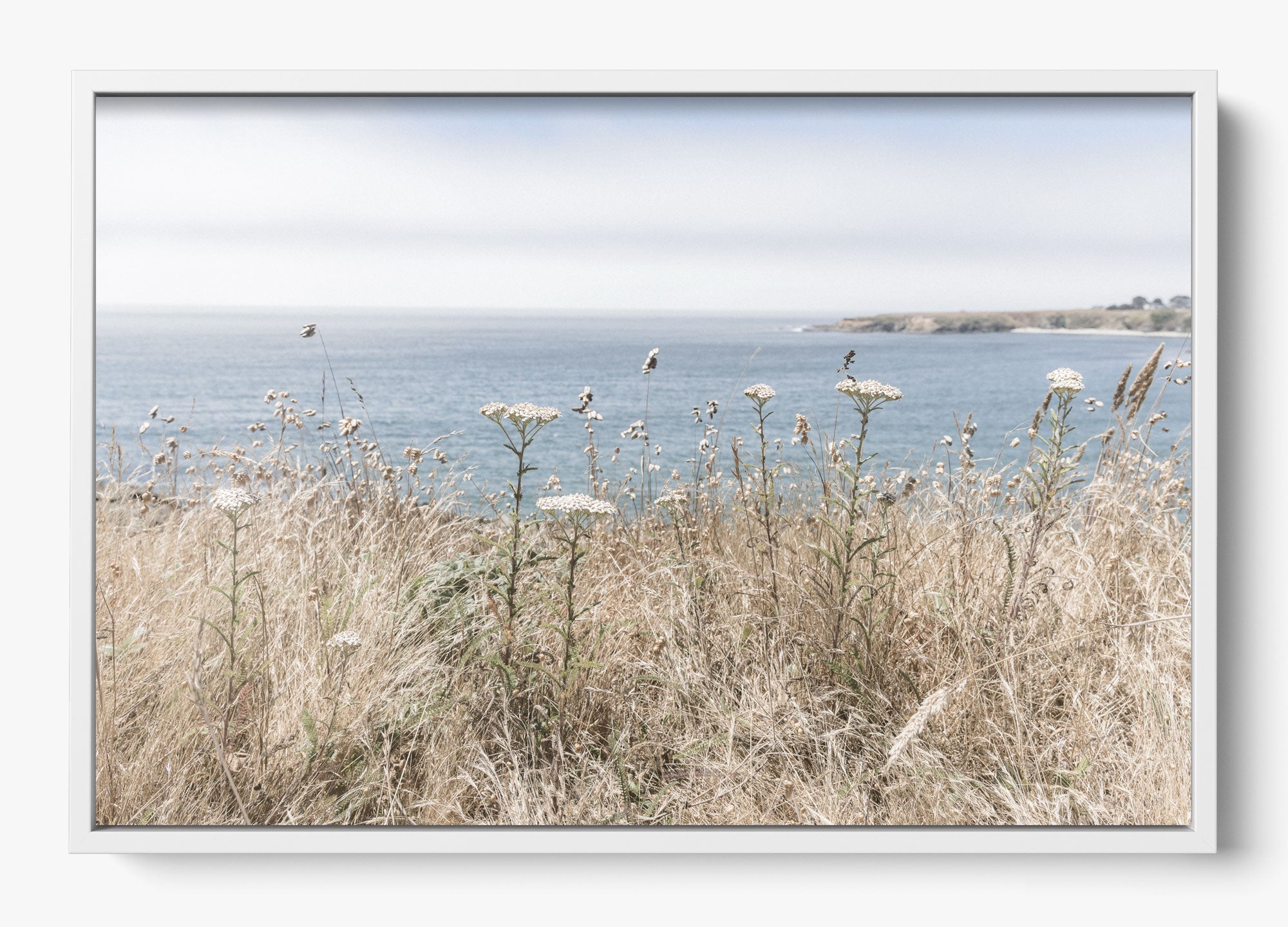 Mendocino Wild