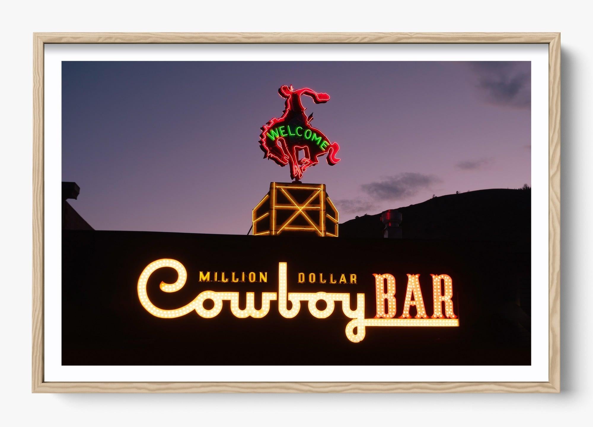 Million Dollar Cowboy