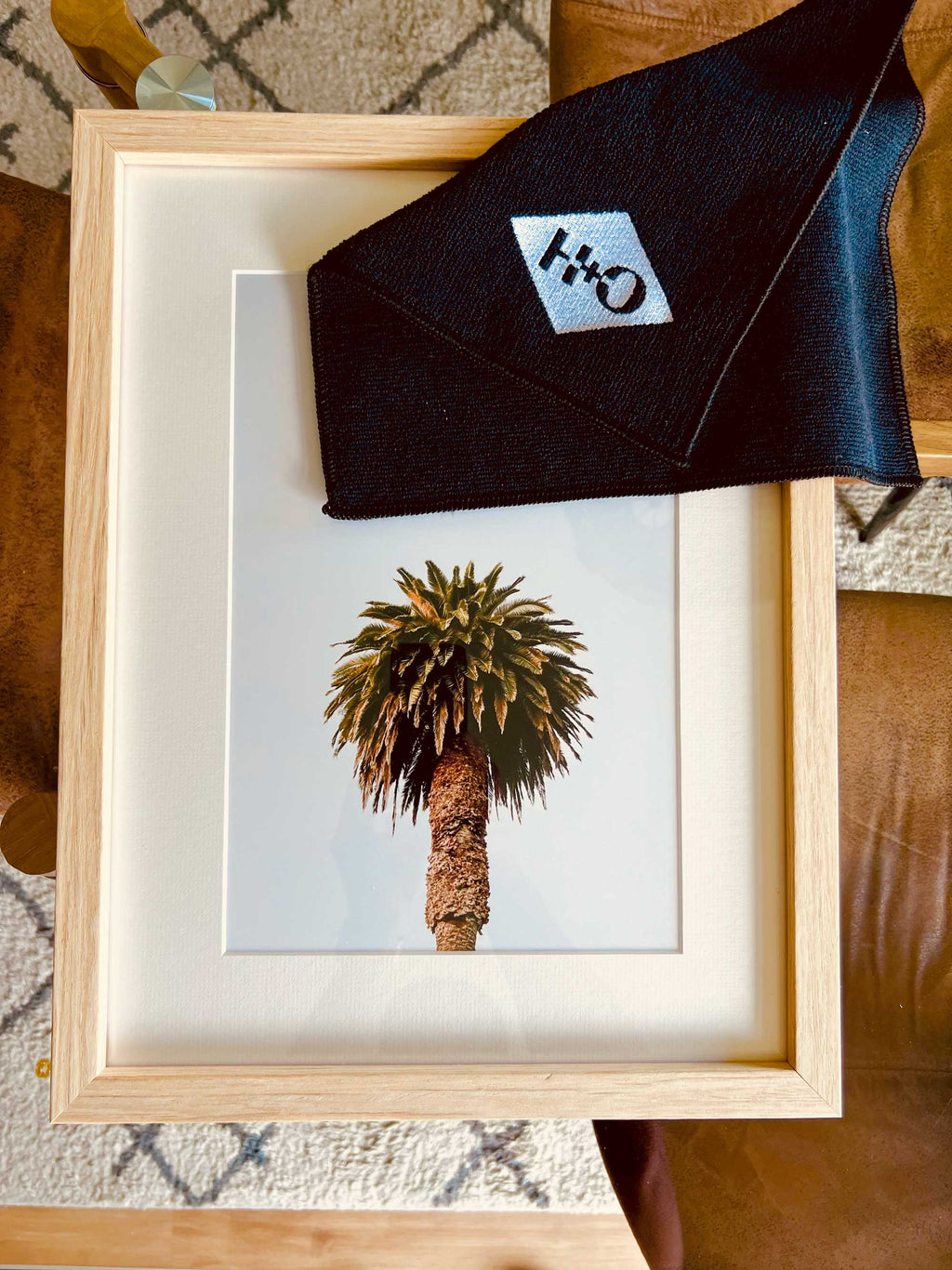 Morning Palm
