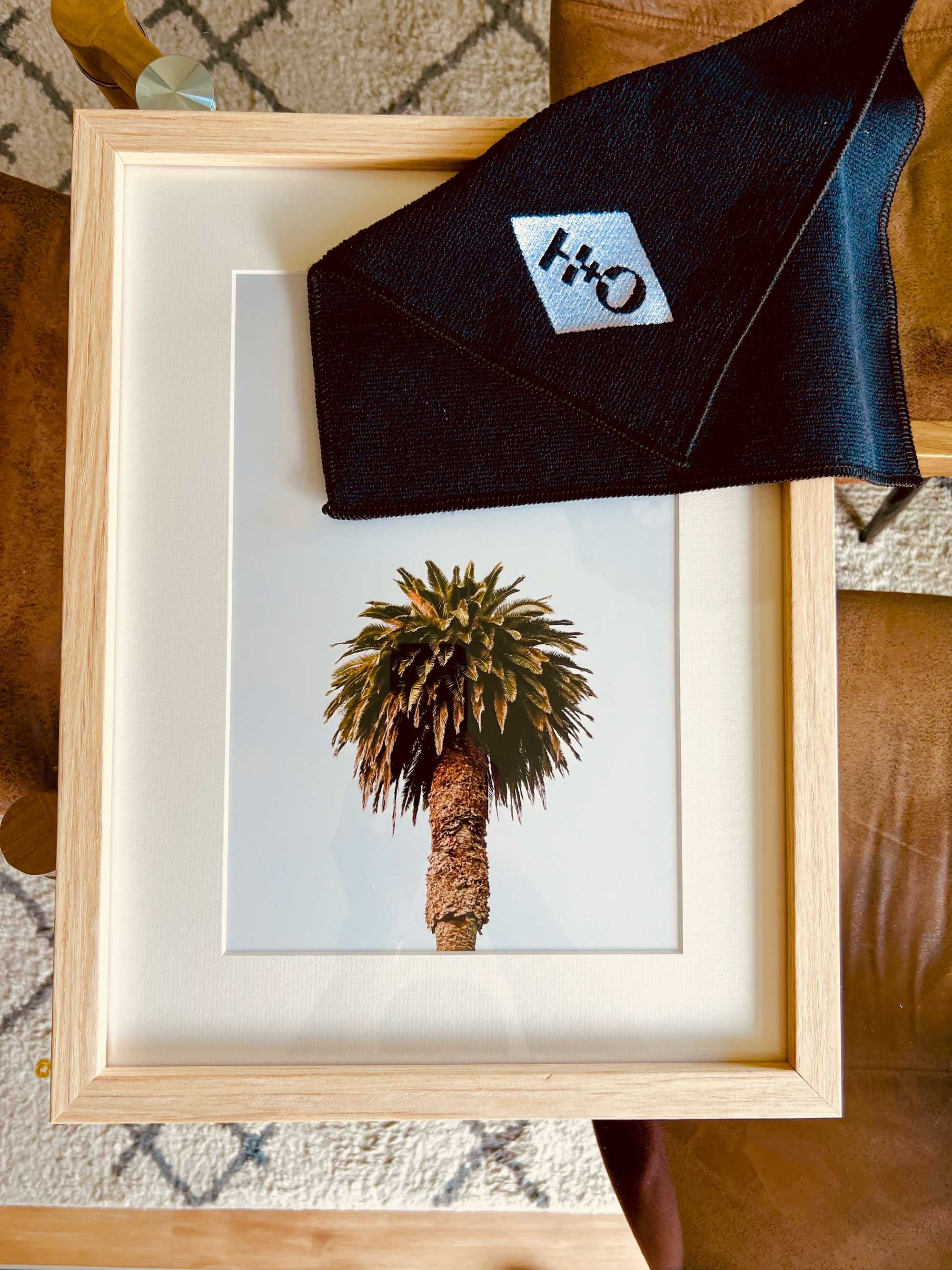 Morning Palm
