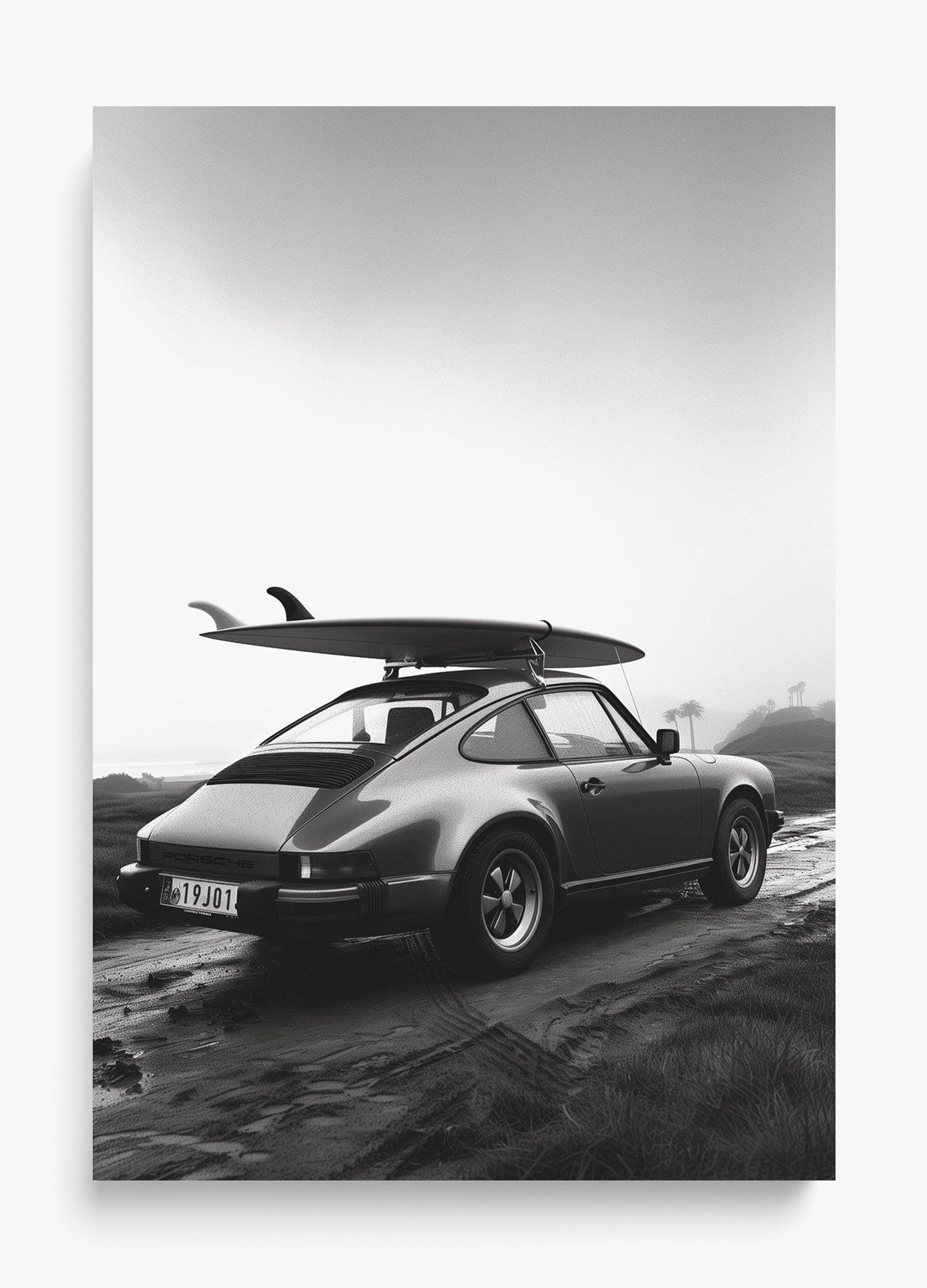 Surf HI