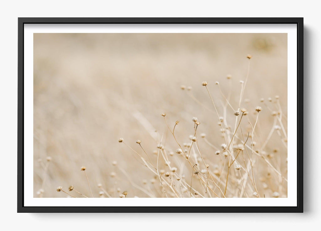 Soft West