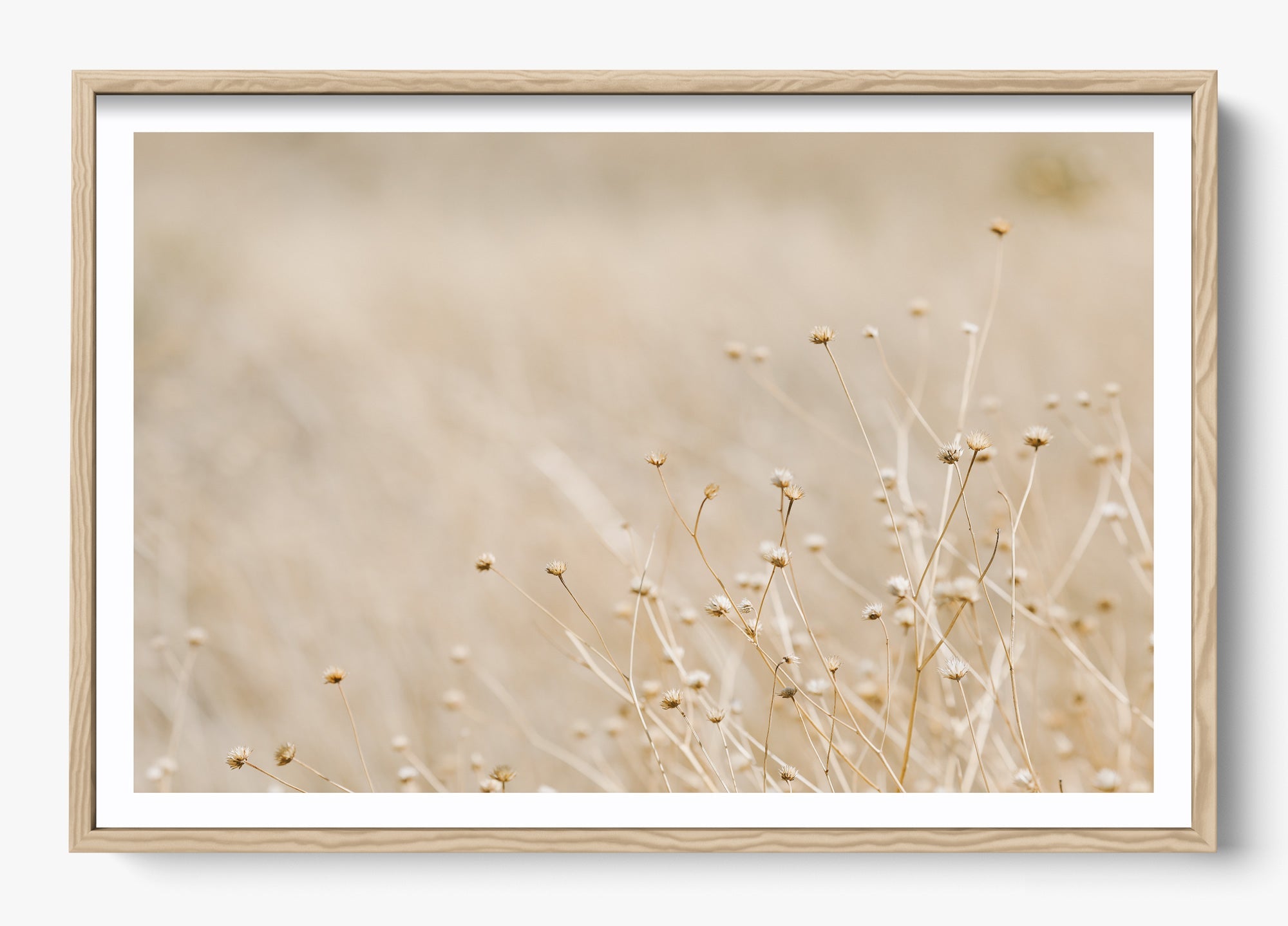 Soft West