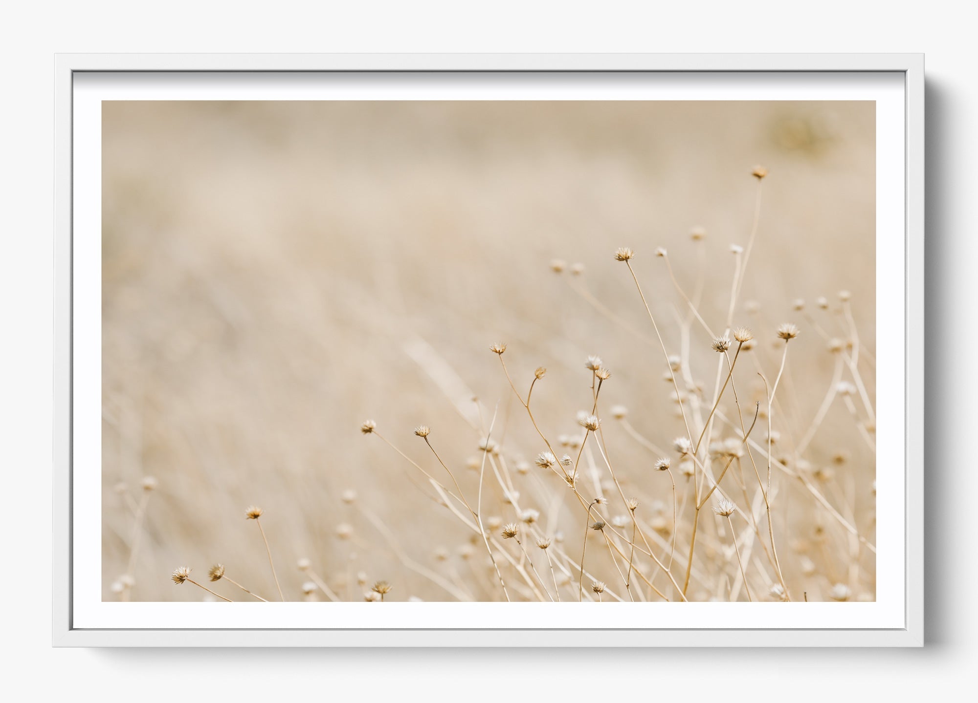 Soft West