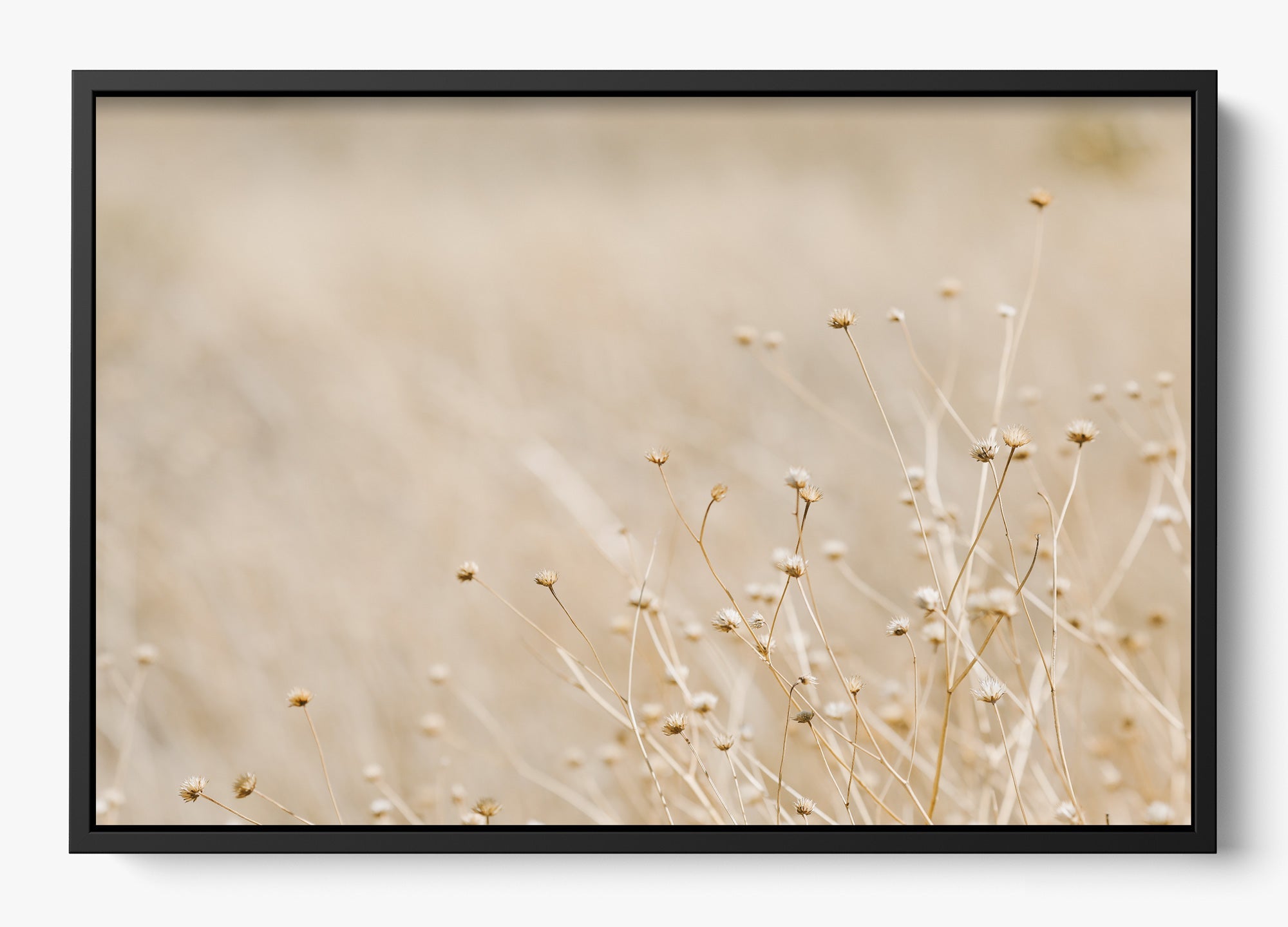 Soft West