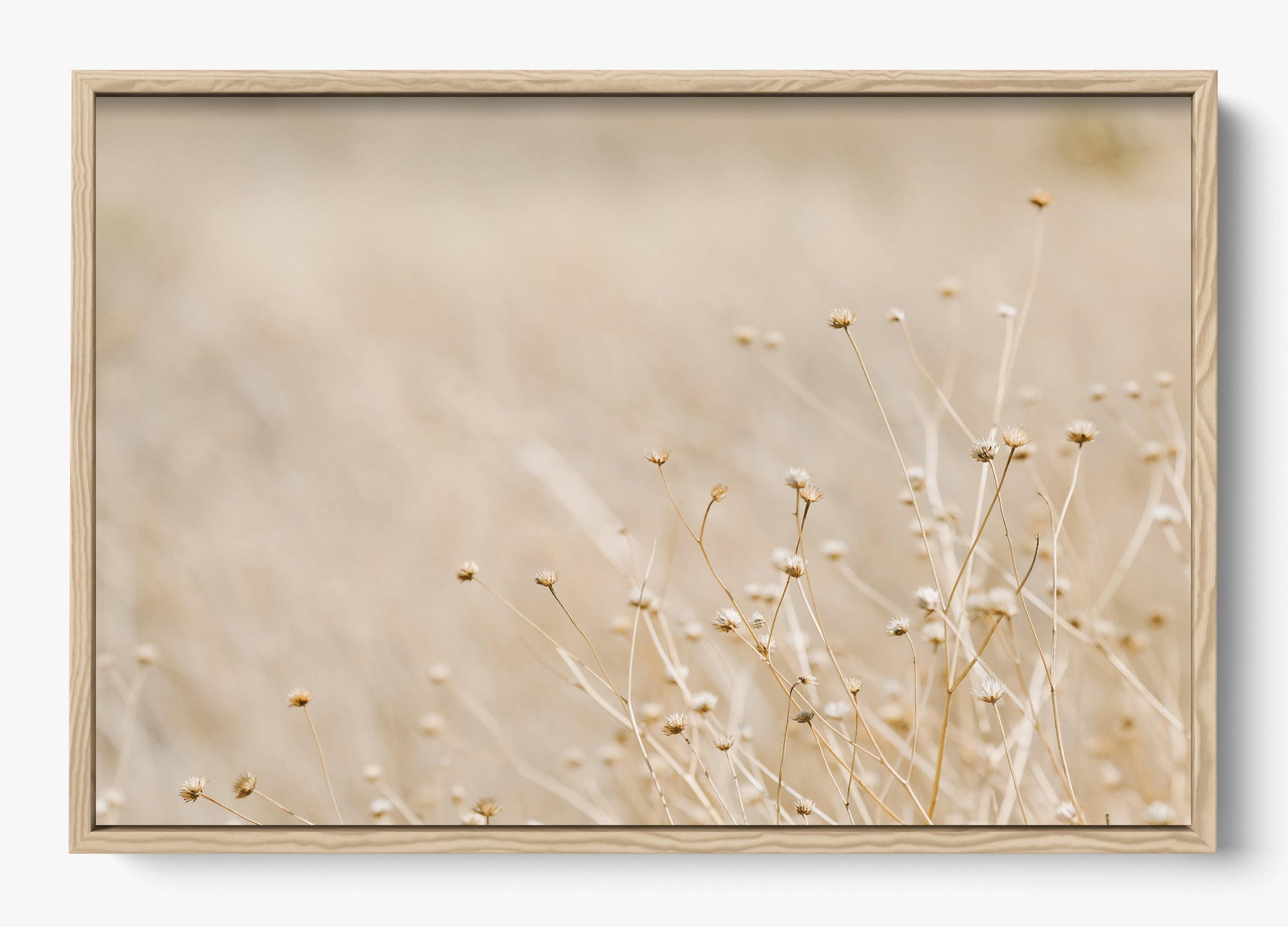 Soft West